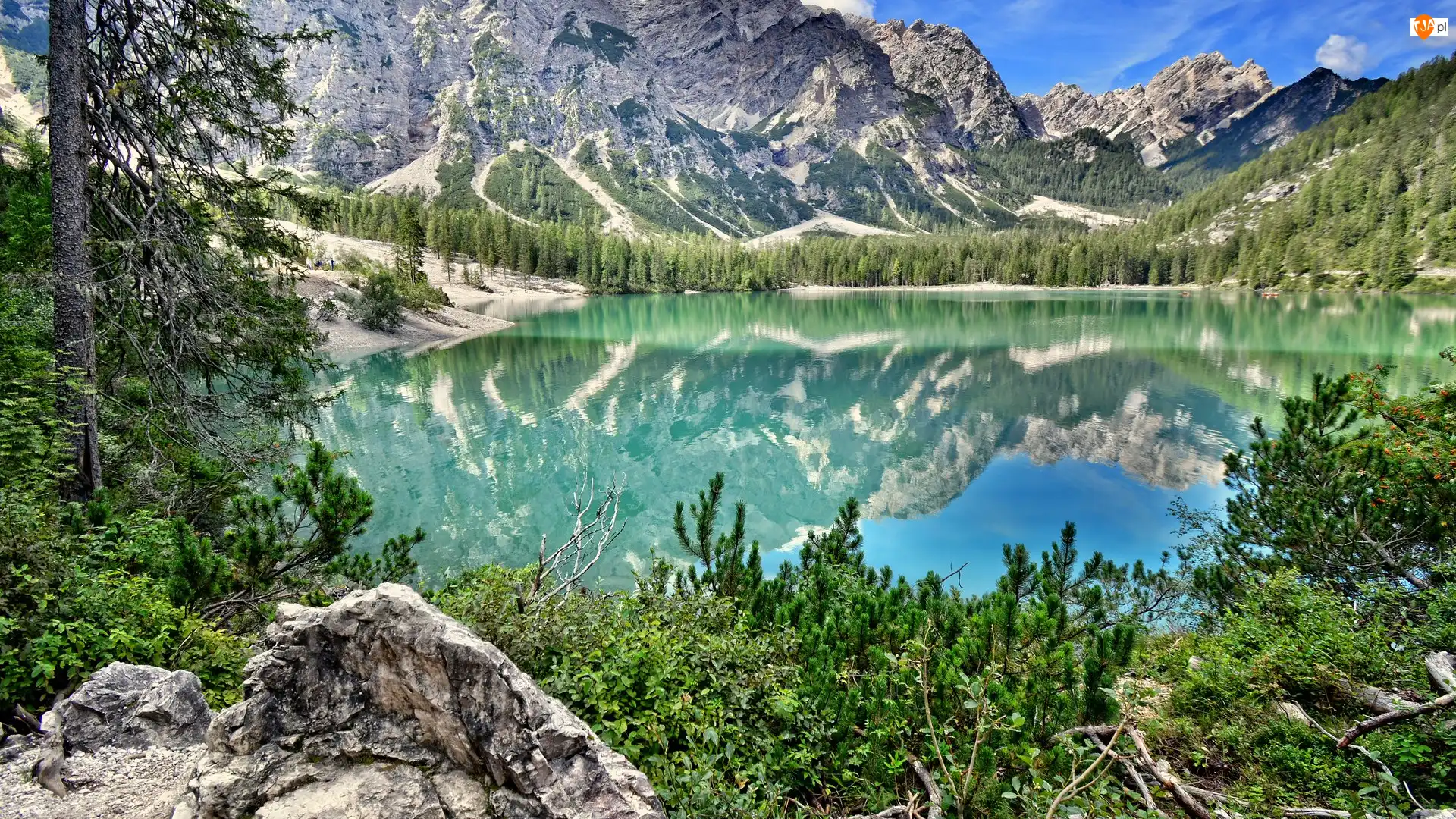 Jezioro, Góry, Pragser Wildsee, Włochy, Lago di Braies, Drzewa