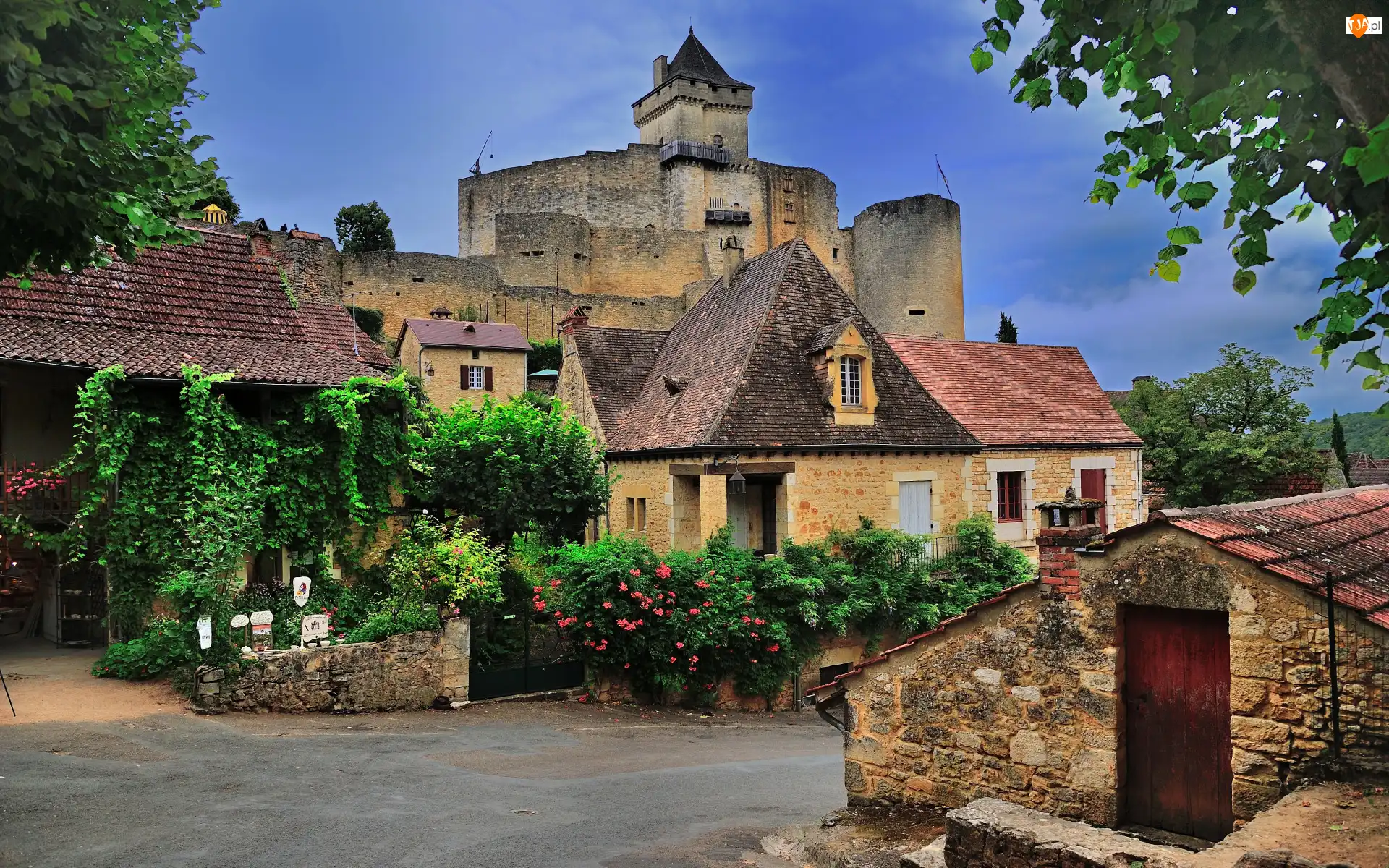 Roślinność, Domy, Chateau de Castelnaud, Płot, Ulica, Kwiaty, Francja, Zamek