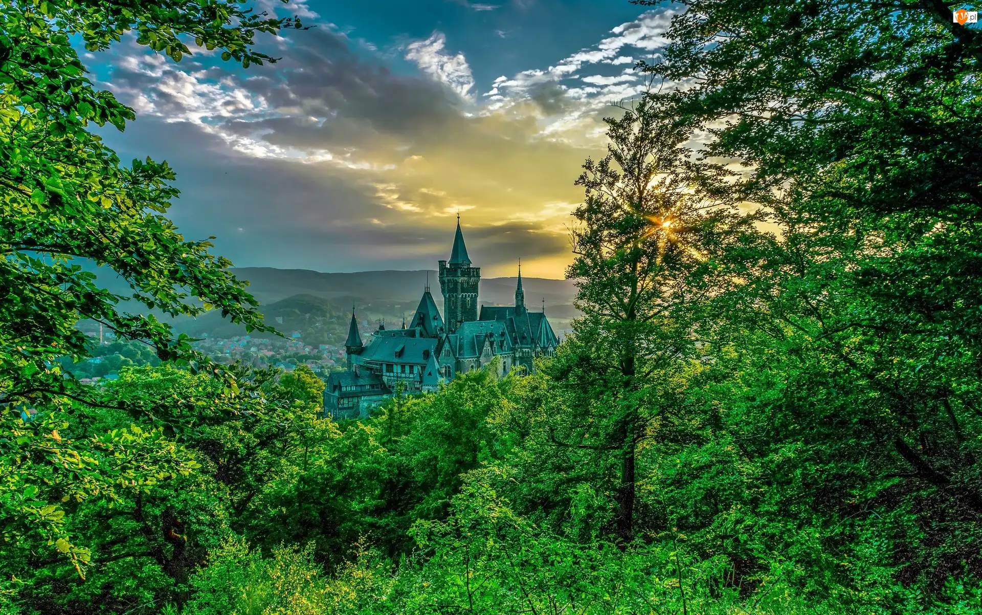 Wernigerode, Zamek Wernigerode, Chmury, Powiat Harz, Drzewa, Zachód słońca, Niemcy, Las