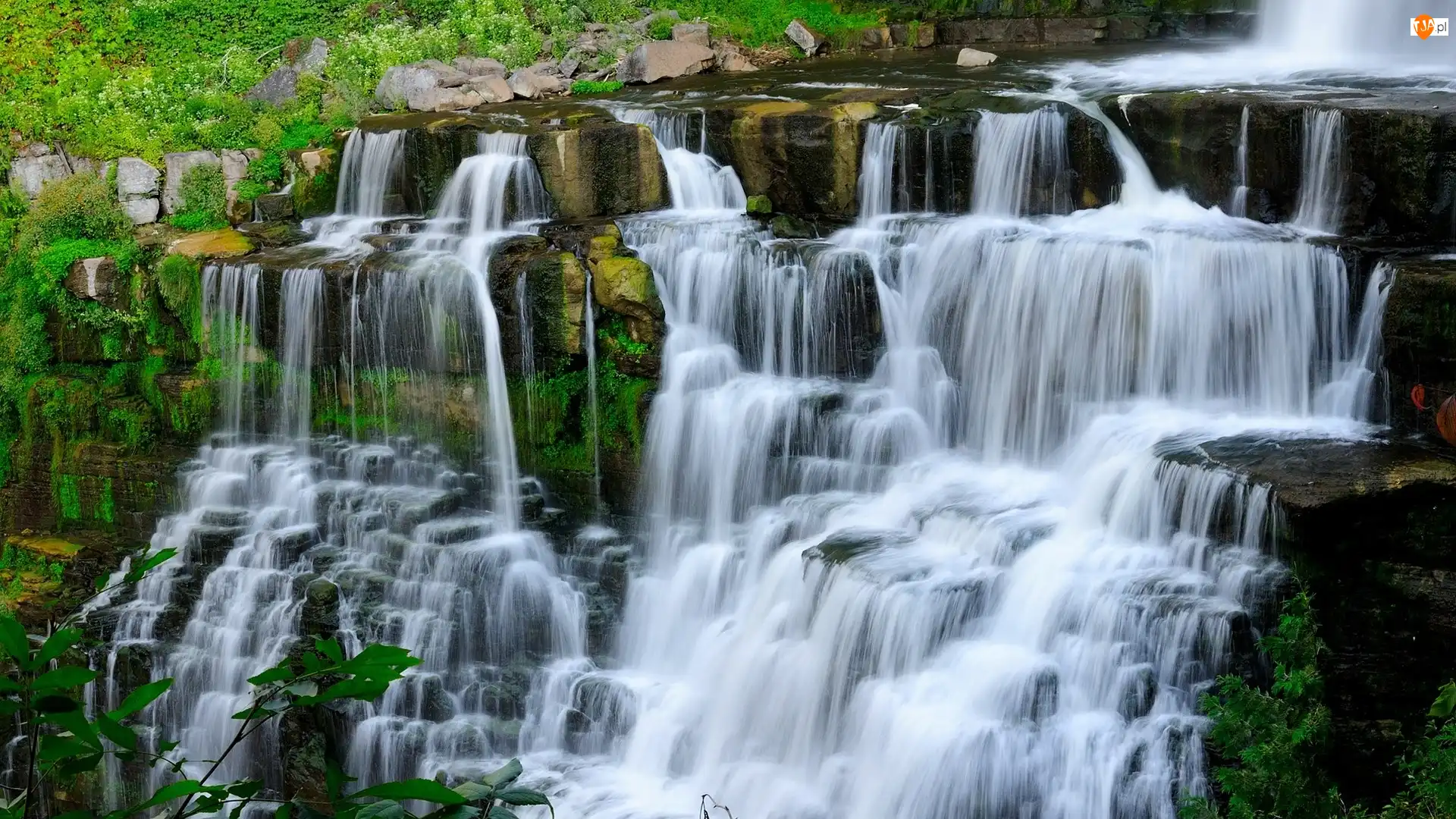 Skały, Wodospad, Rośliny, Nowy Jork, Kamienie, Chittenango Falls State Park
