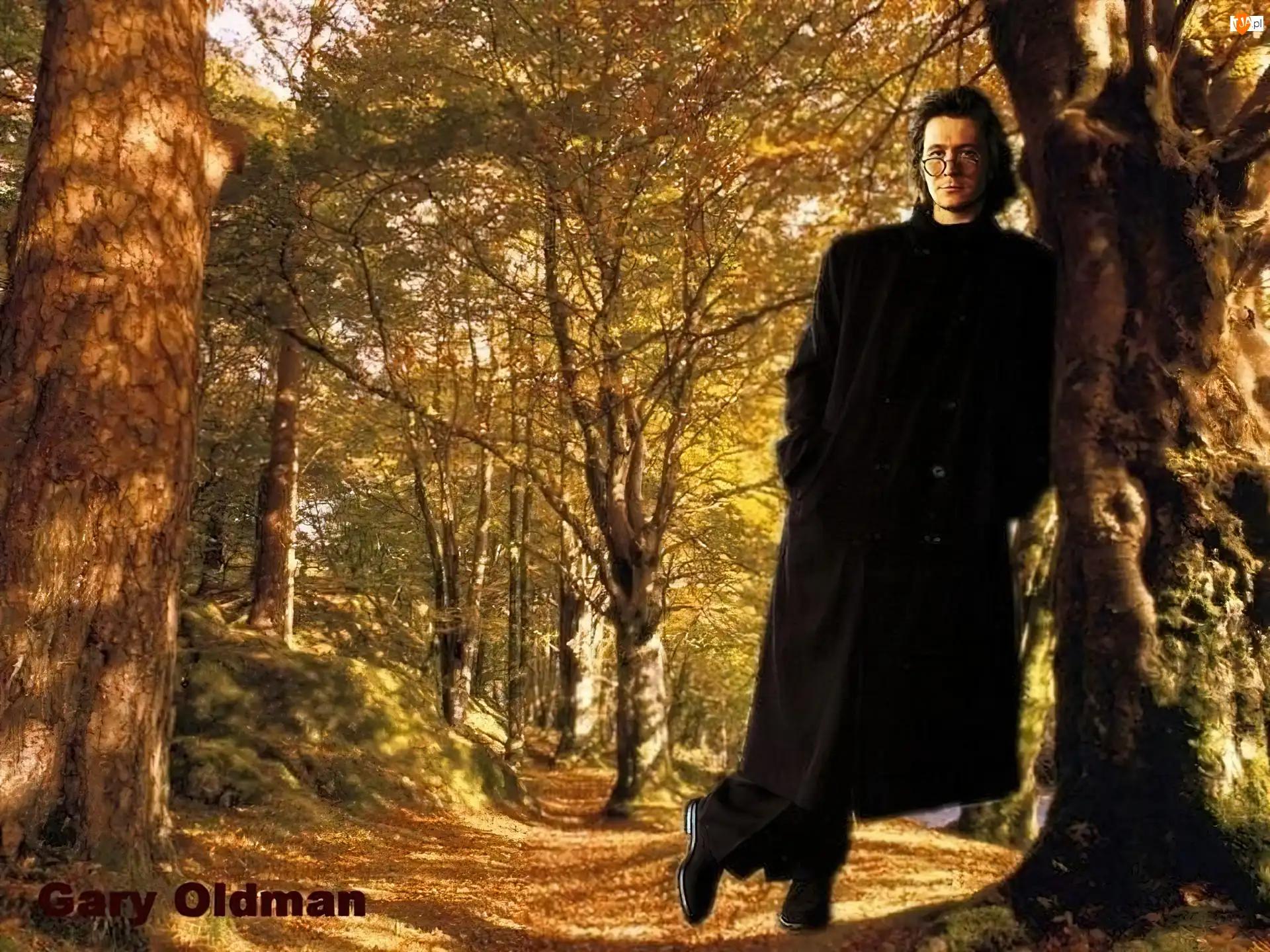 drzewa, Gary Oldman, płaszcz