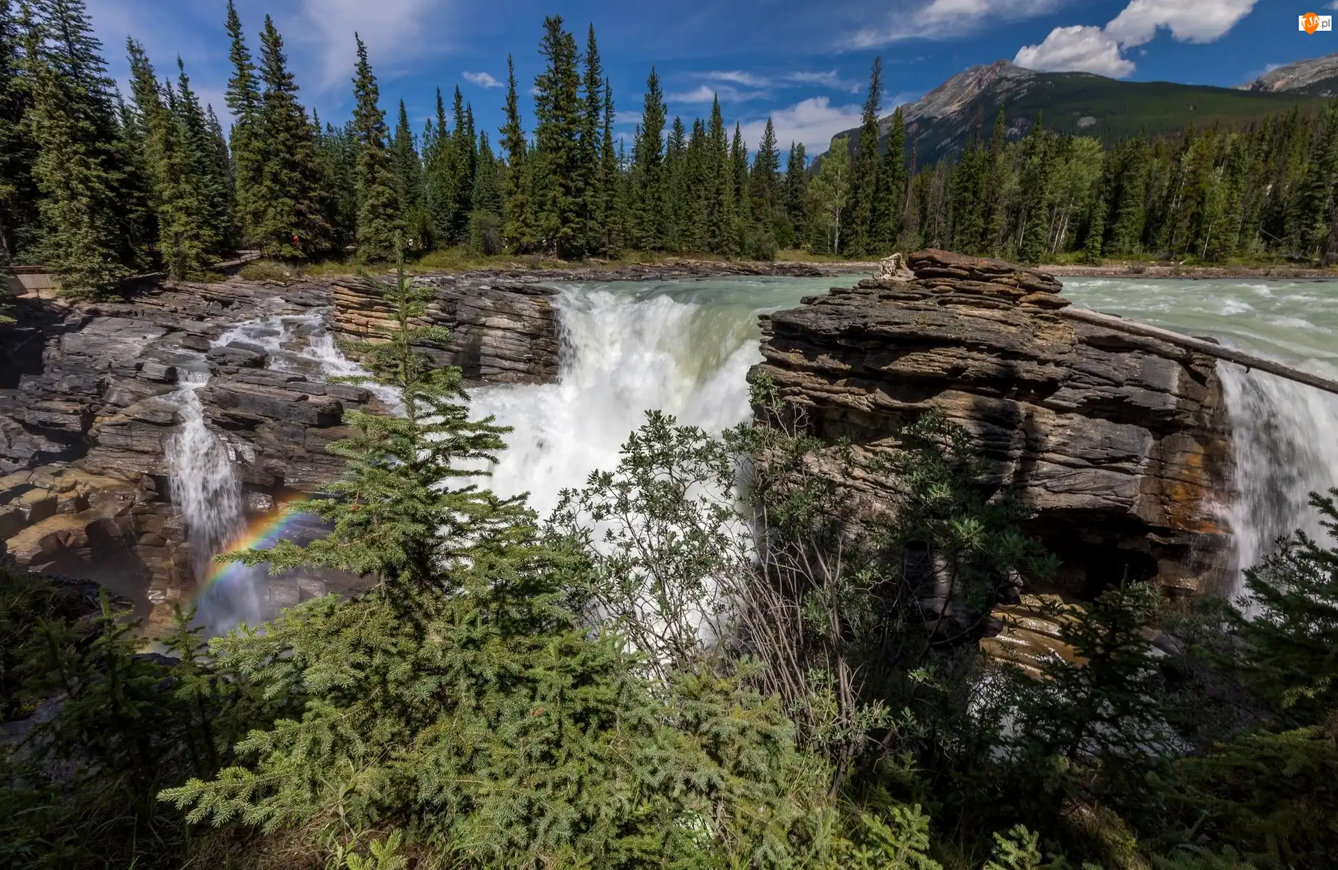 Skały, Kanada, Wodospad Athabasca, Tęcza, Prowincja Alberta, Rzeka Athabasca, Świerki, Park Narodowy Jasper