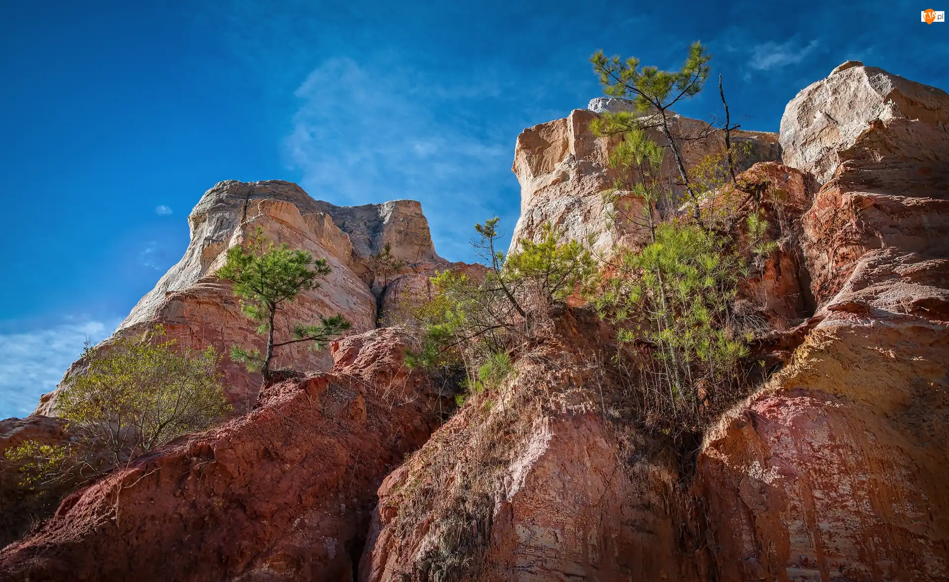 Park stanowy Providence Canyon, Drzewka, Stan Georgia, Stany Zjednoczone, Skały