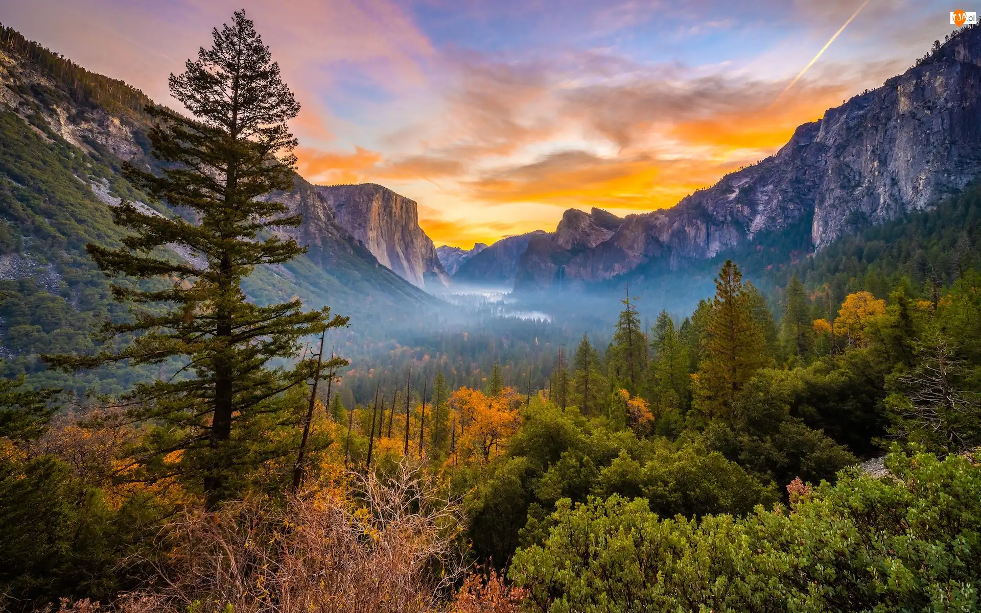 Stany Zjednoczone, Jesień, Kalifornia, Mgła, Góry, Skały, Drzewa, Park Narodowy Yosemite, Krzewy