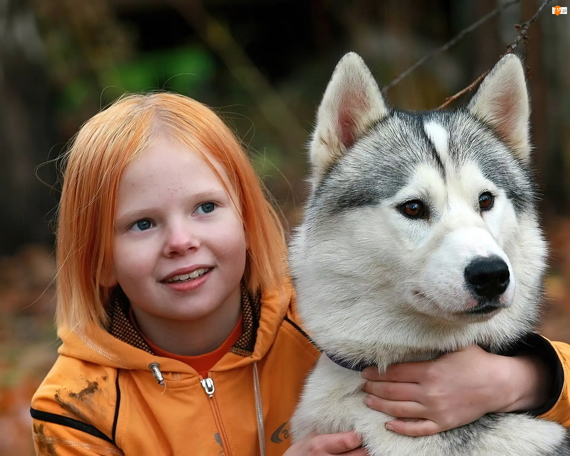 Włosy, Husky, Rude, Dziewczynka, Pies