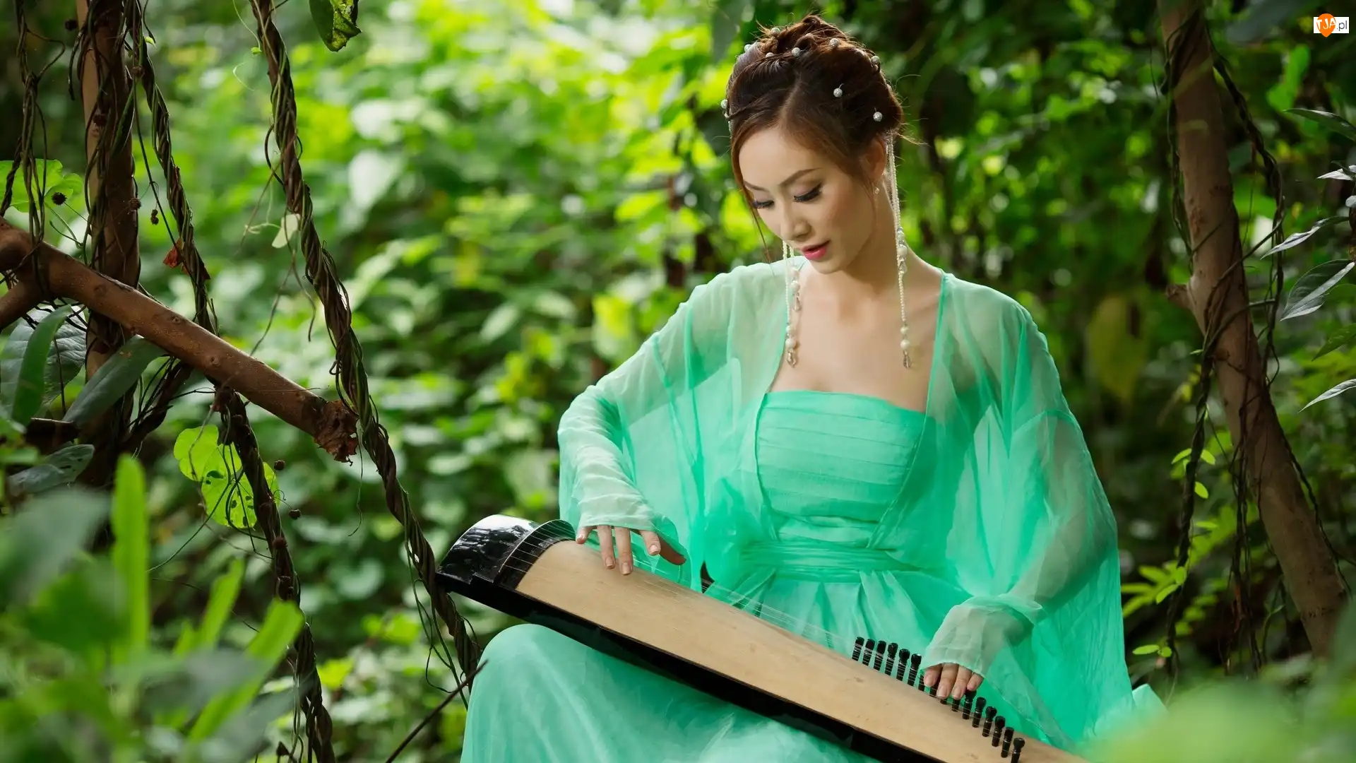 Zielona, Kobieta, Azjatka, Koto, Sukienka, Instrument