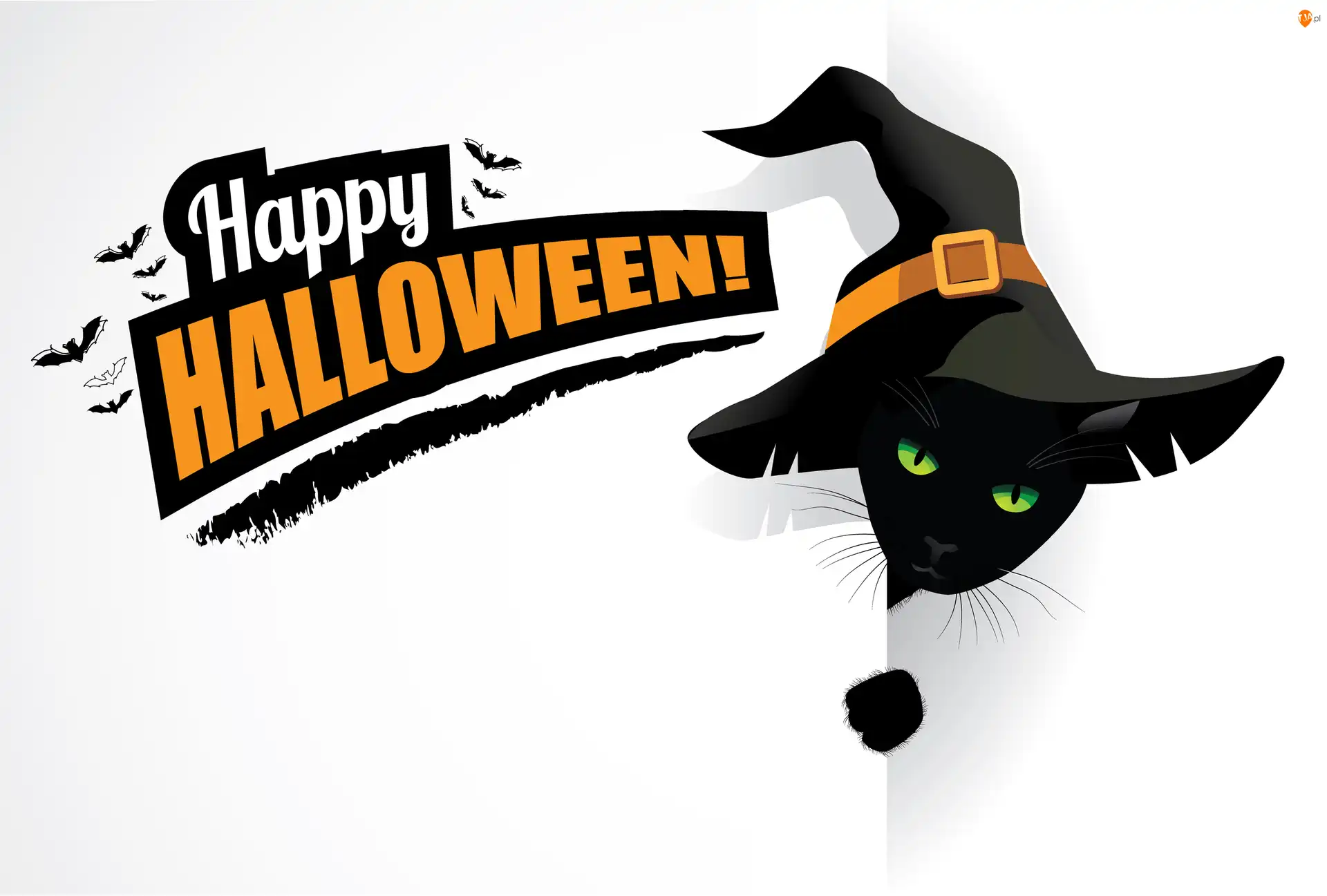 Kot, Czarny, Grafika, Halloween, Happy Halloween, Napis, Kapelusz