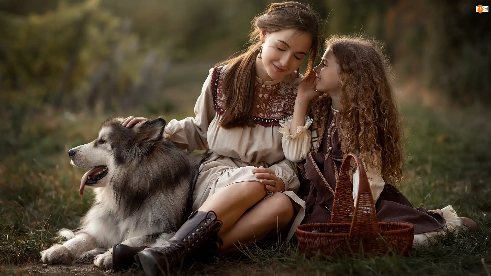 Alaskan malamute, Kobieta, Dziewczynka, Pies