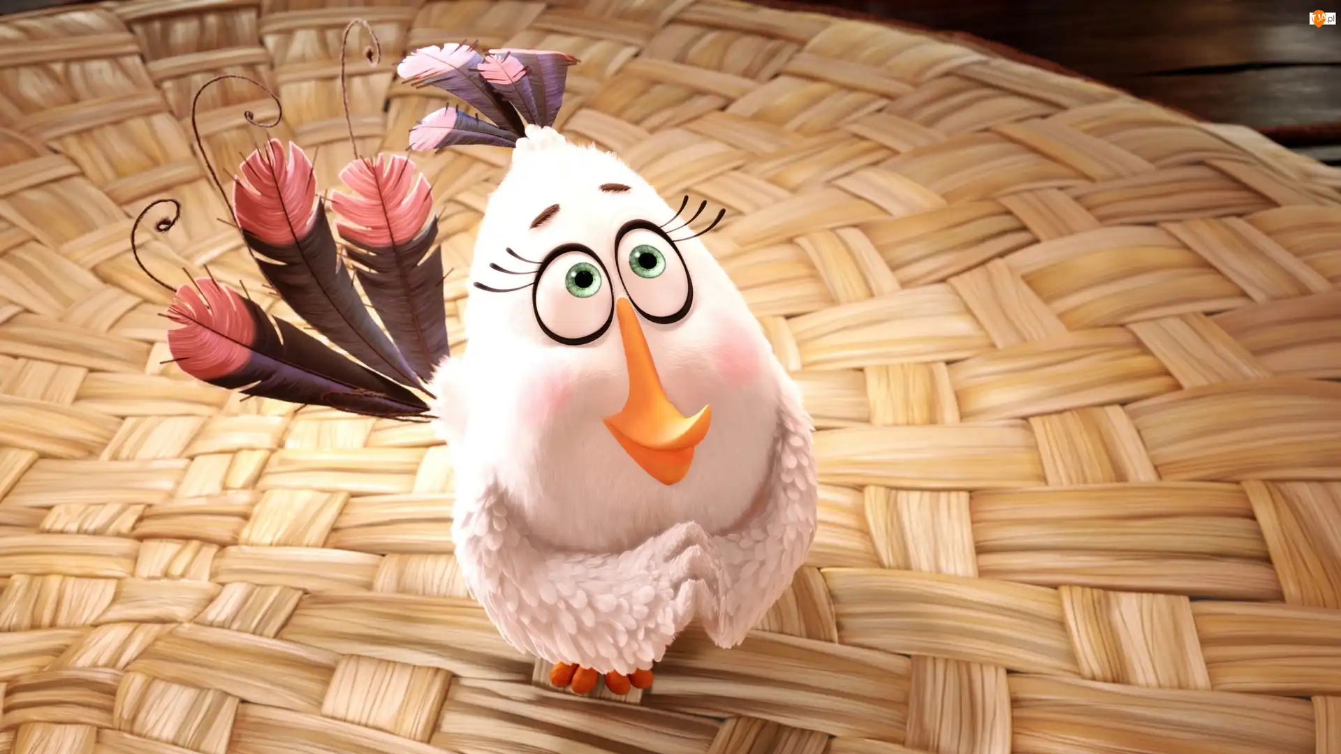 Matylda, Gra, Angry Birds