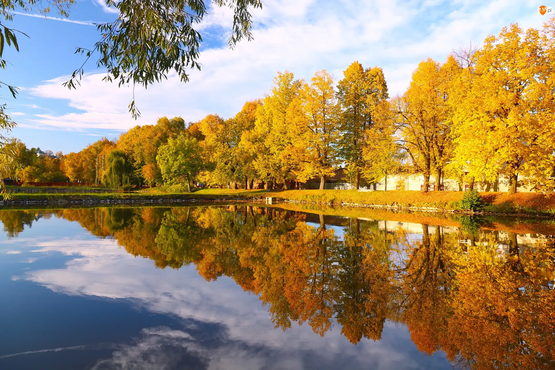 Staw, Drzewa, Jesień, Park, Odbicie
