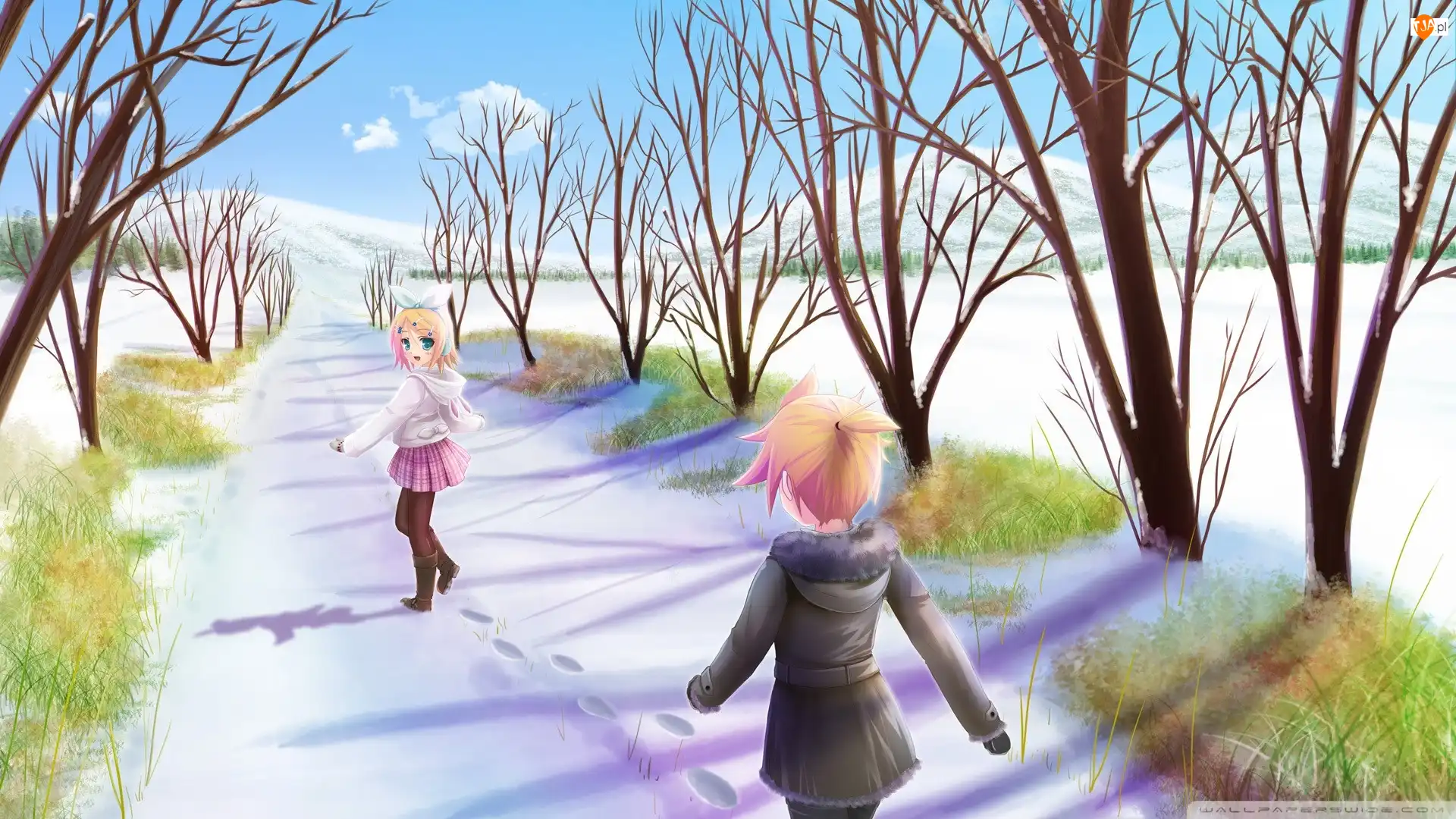 Kagamine Rin, Vocaloid, Kagamine Len