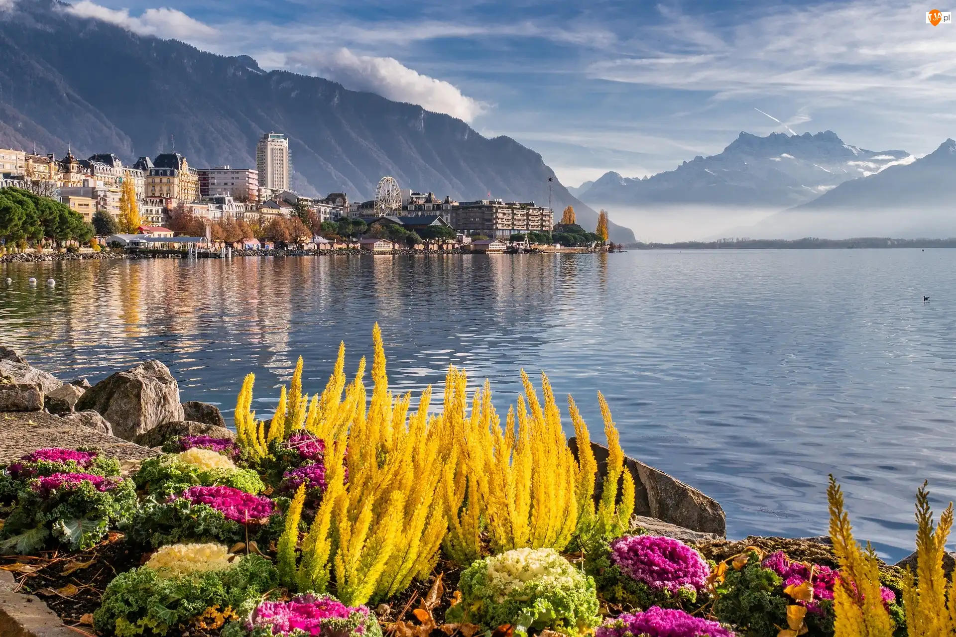 Rośliny, Klomb, Szwajcaria, Jezioro Genewskie, Montreux, Krajobraz, Góry