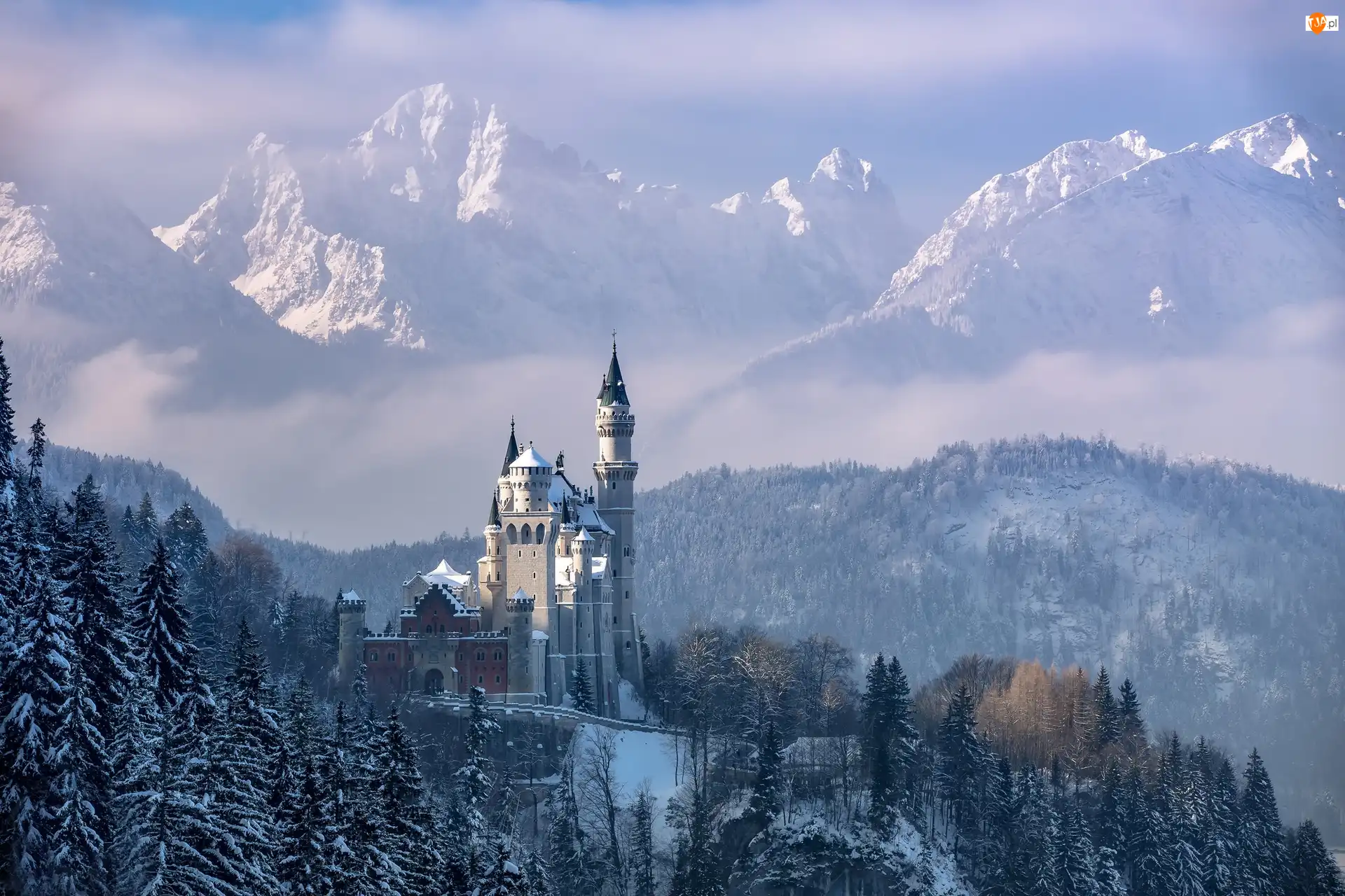 Region Allgäu, Zamek Neuschwanstein, Ośnieżone, Góry Alpy, Bawaria, Drzewa, Zima, Niemcy, Las, Gmina Schwangau, Mgła