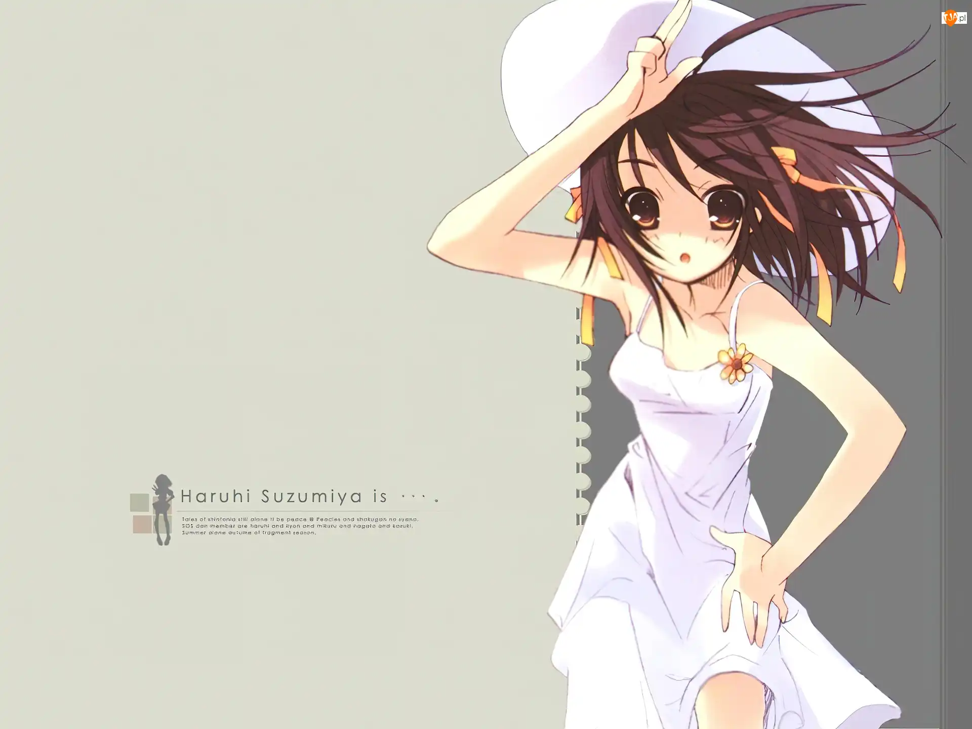 kapelusz, Suzumiya Haruhi No Yuuutsu, biała sukienka