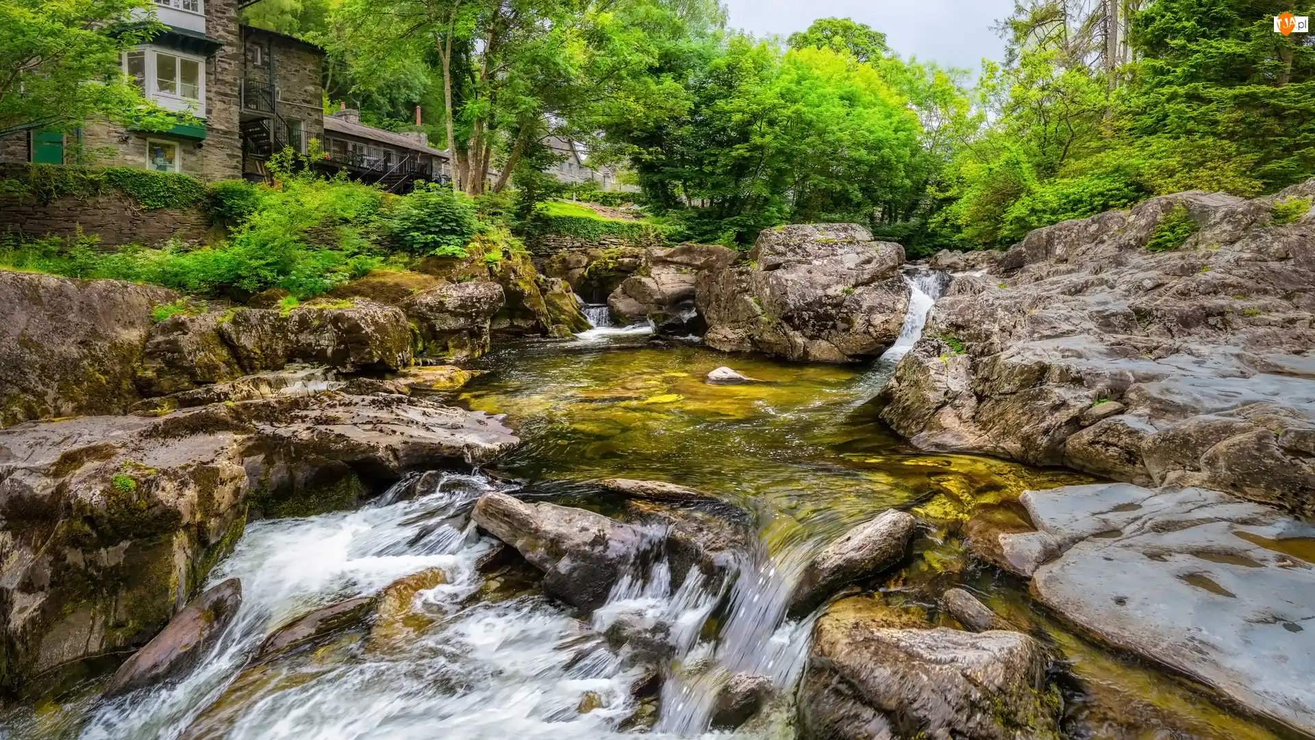 Walia, River Llugwy, Betws y Coed, Drzewa, Domy, Rośliny, Skały, Rzeka, Kamienie