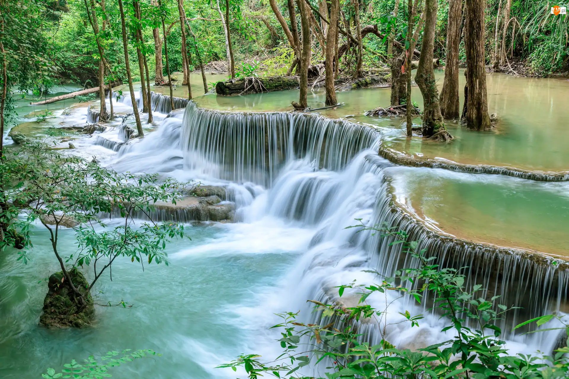 Park Narodowy Khuean Srinagarindra, Las, Kamienie, Prowincja Kanchanaburi, Drzewa, Wodospad Huai Mae Khamin, Tajlandia, Rośliny