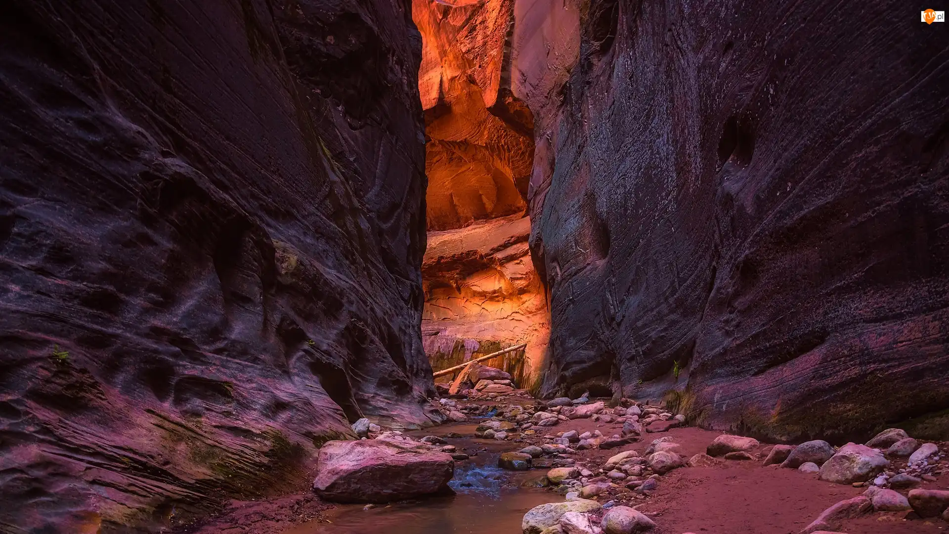 Park Narodowy Zion, Skały, Rzeka, Stan Utah, Kanion, Virgin River, Stany Zjednoczone, Zion Narrows