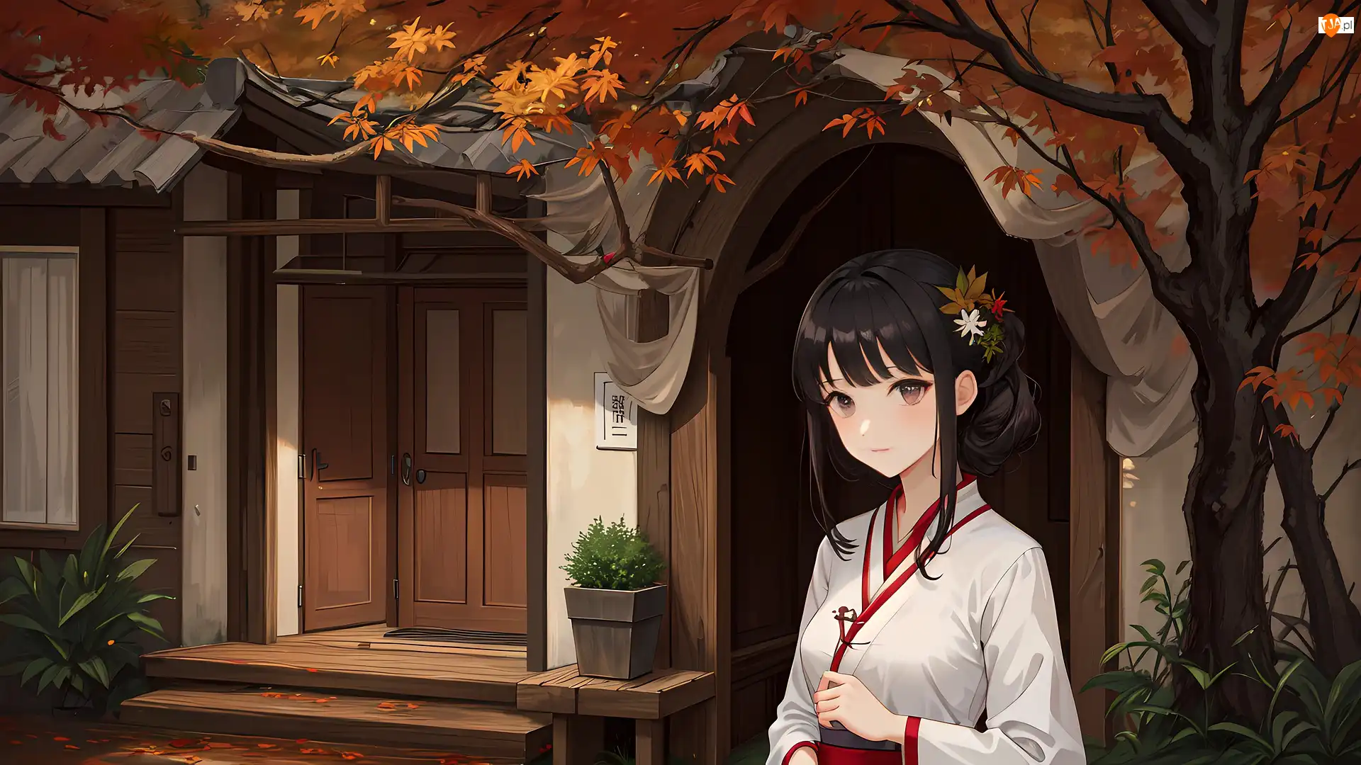 Dom, Anime, Kimono, Dziewczyna, Klon