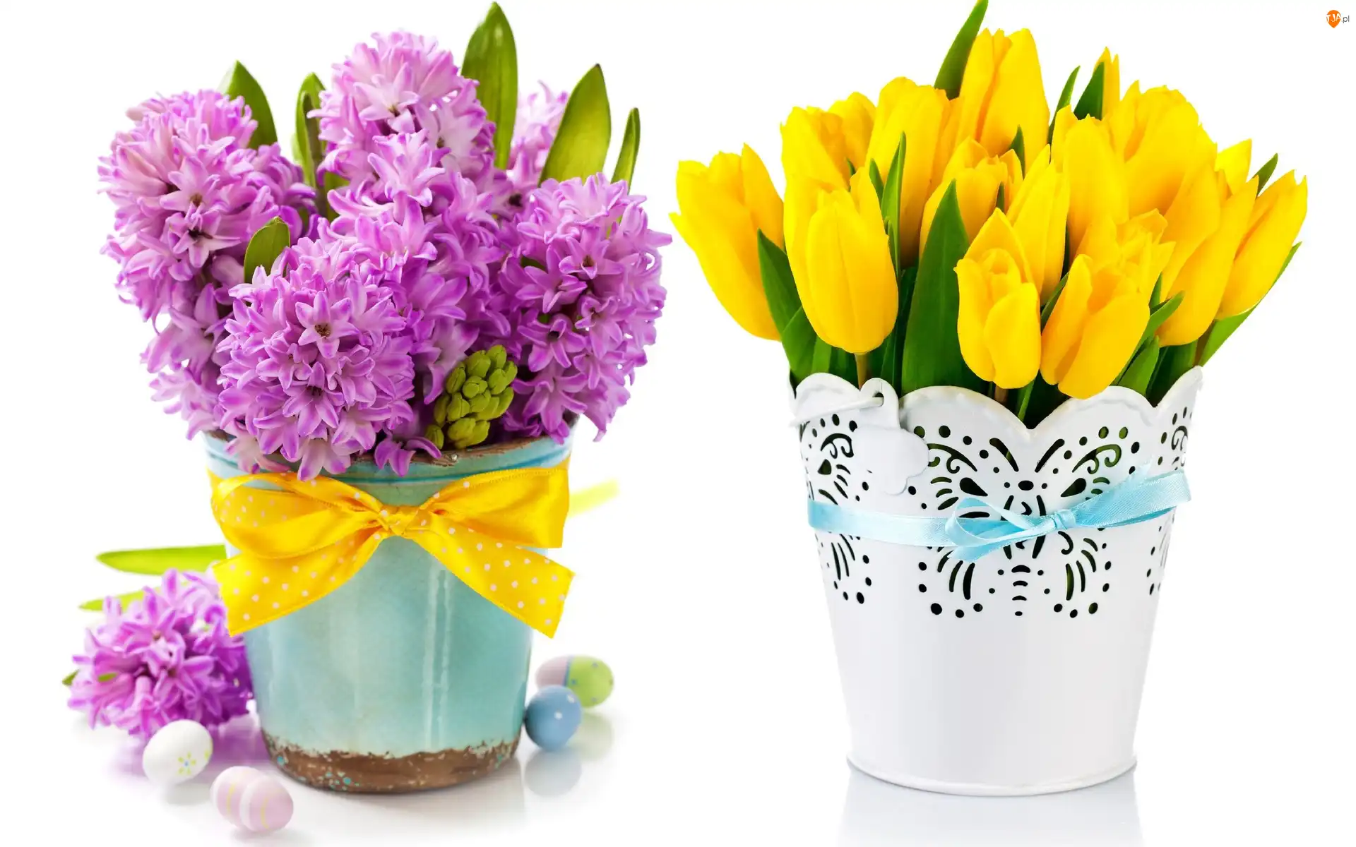 Pisanki, Hiacynty, Tulipany, Doniczki