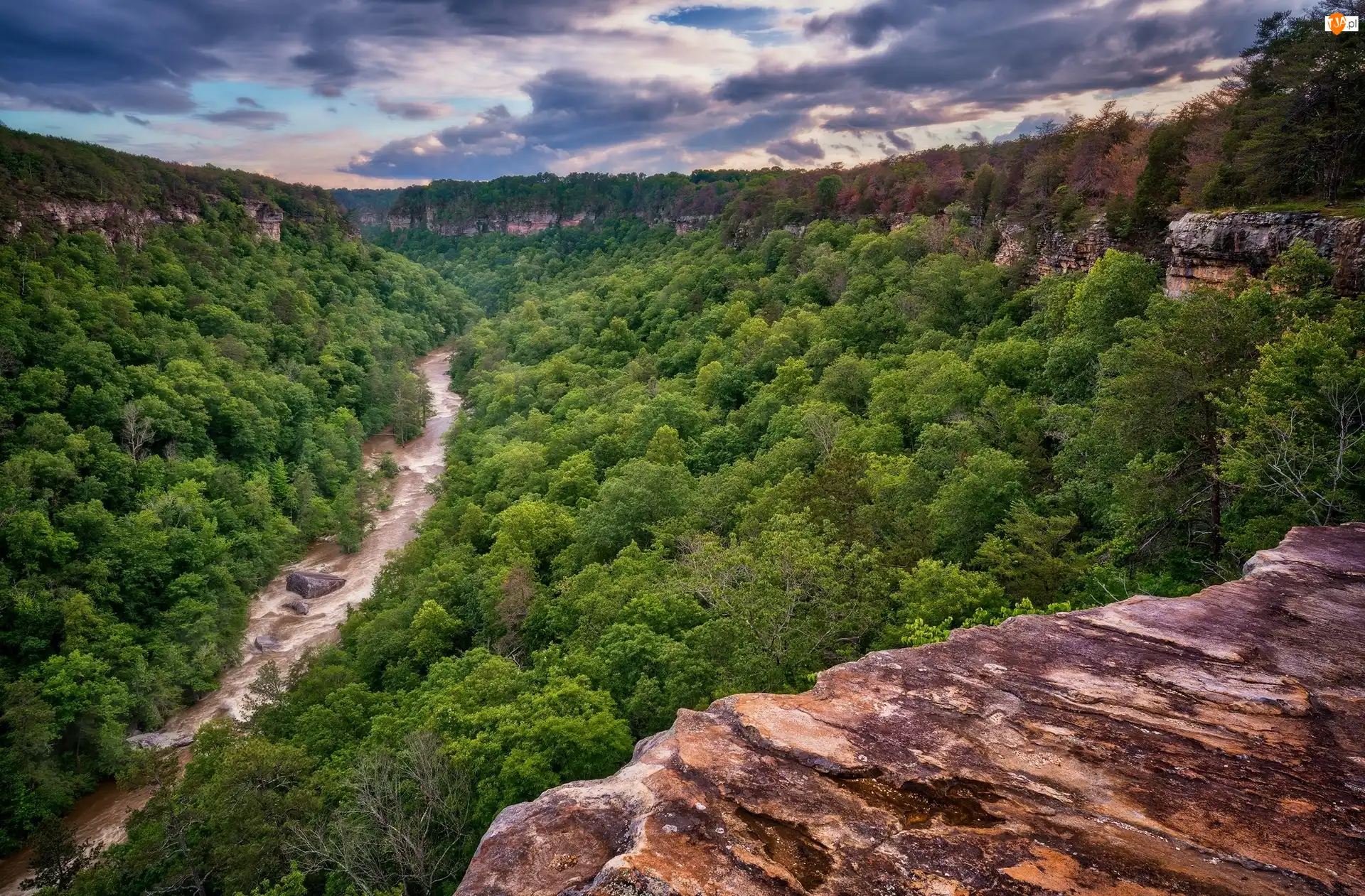 Stan Alabama, Stany Zjednoczone, Rzeka, Skały, Rezerwat Narodowy Little River Canyon, Drzewa