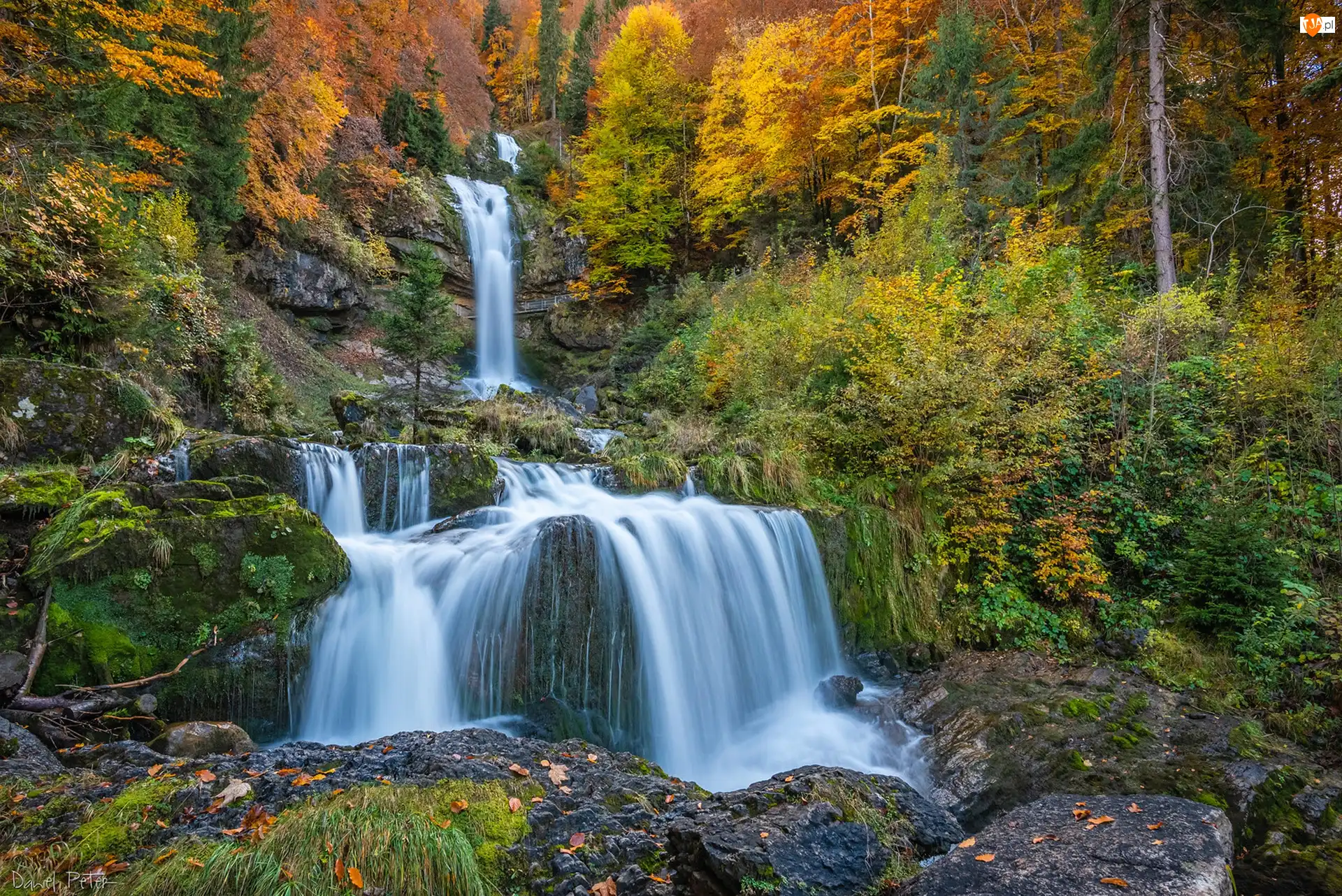 Szwajcaria, Drzewa, Jesień, Mech, Rośliny, Skały, Wodospad, Las, Giessbach Falls