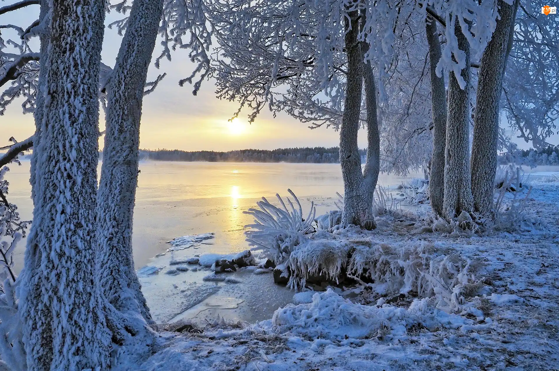 Ośnieżone, Finlandia, Jezioro, Drzewa, Region Etelä-Savo, Zima, Wschód słońca, Miasto Savonlinna