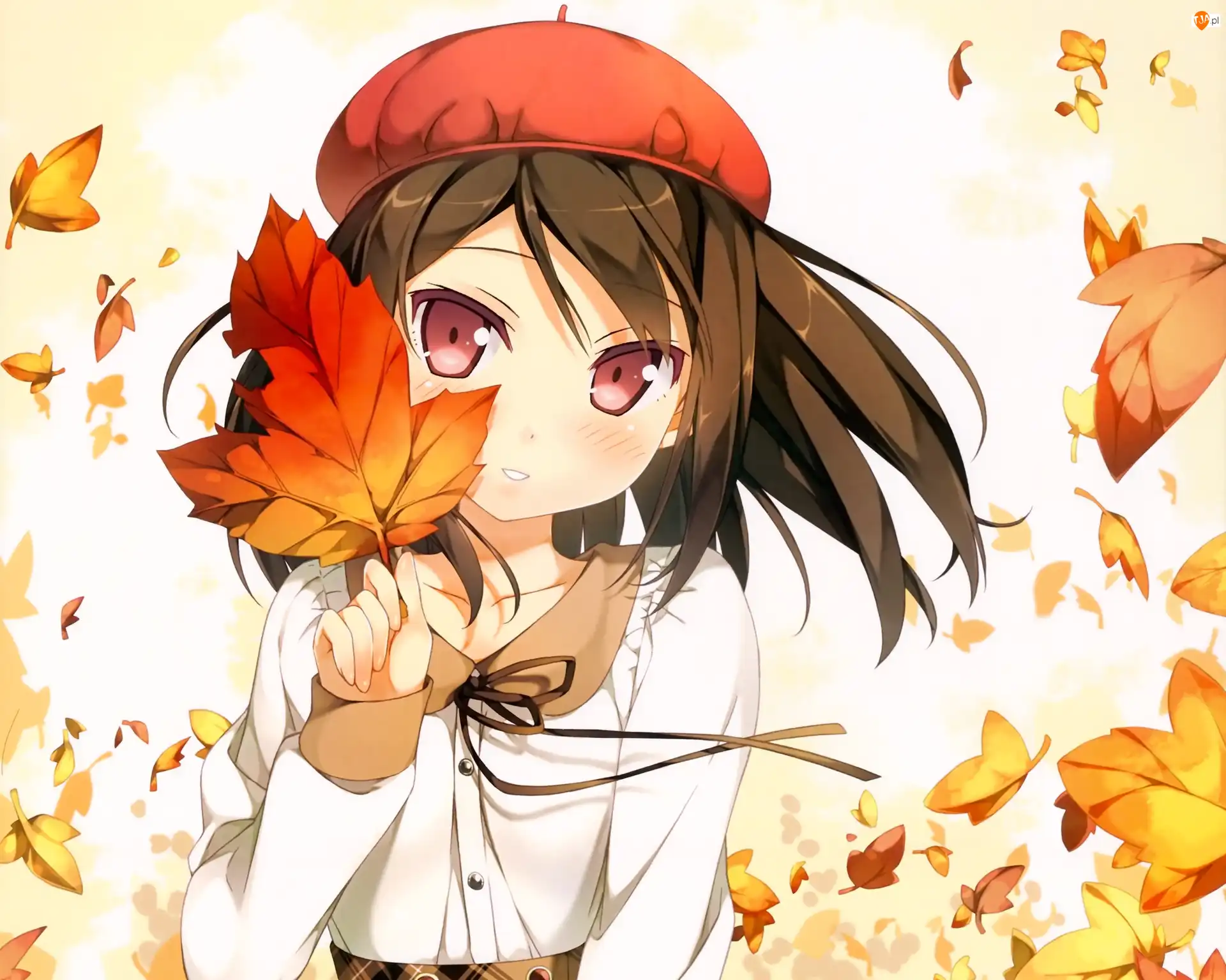 Beret, Dziewczyna, Jesień, Anime, Liście, Manga