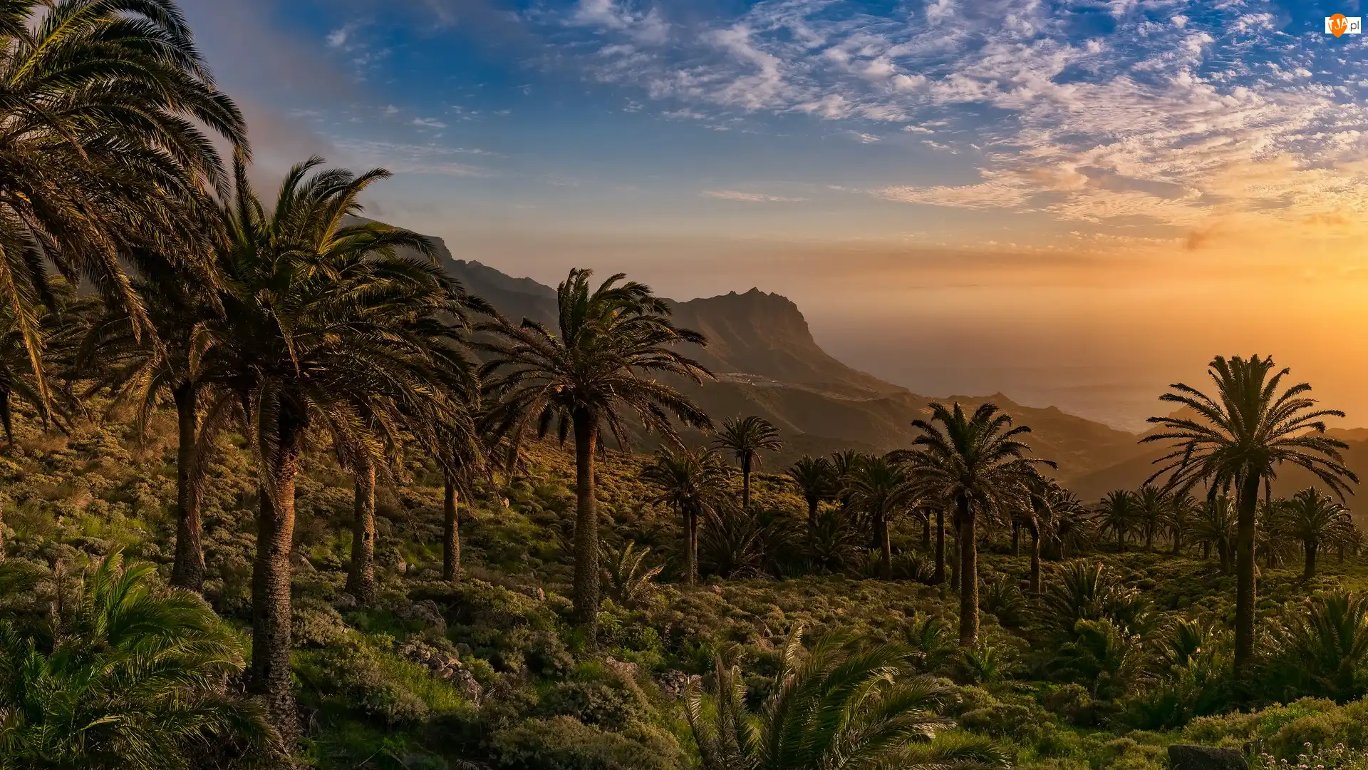 Gomera, Góry, Zachód słońca, Wyspy Kanaryjskie, Drzewa, Tazo, Hiszpania, Palmy