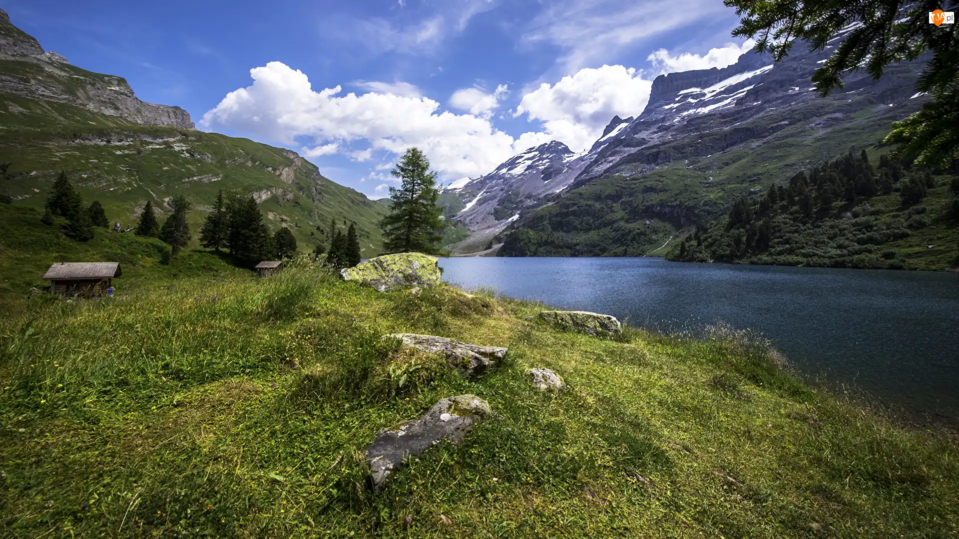 Kanton Berno, Góry, Drzewa, Szwajcaria, Trawa, Kamienie, Jezioro Engstlensee