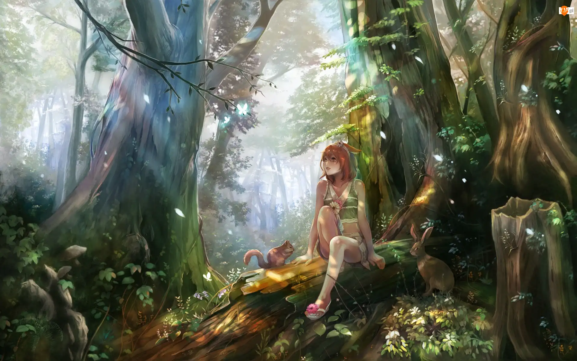 Anime, Dziewczyna, Las, Zwierzęta