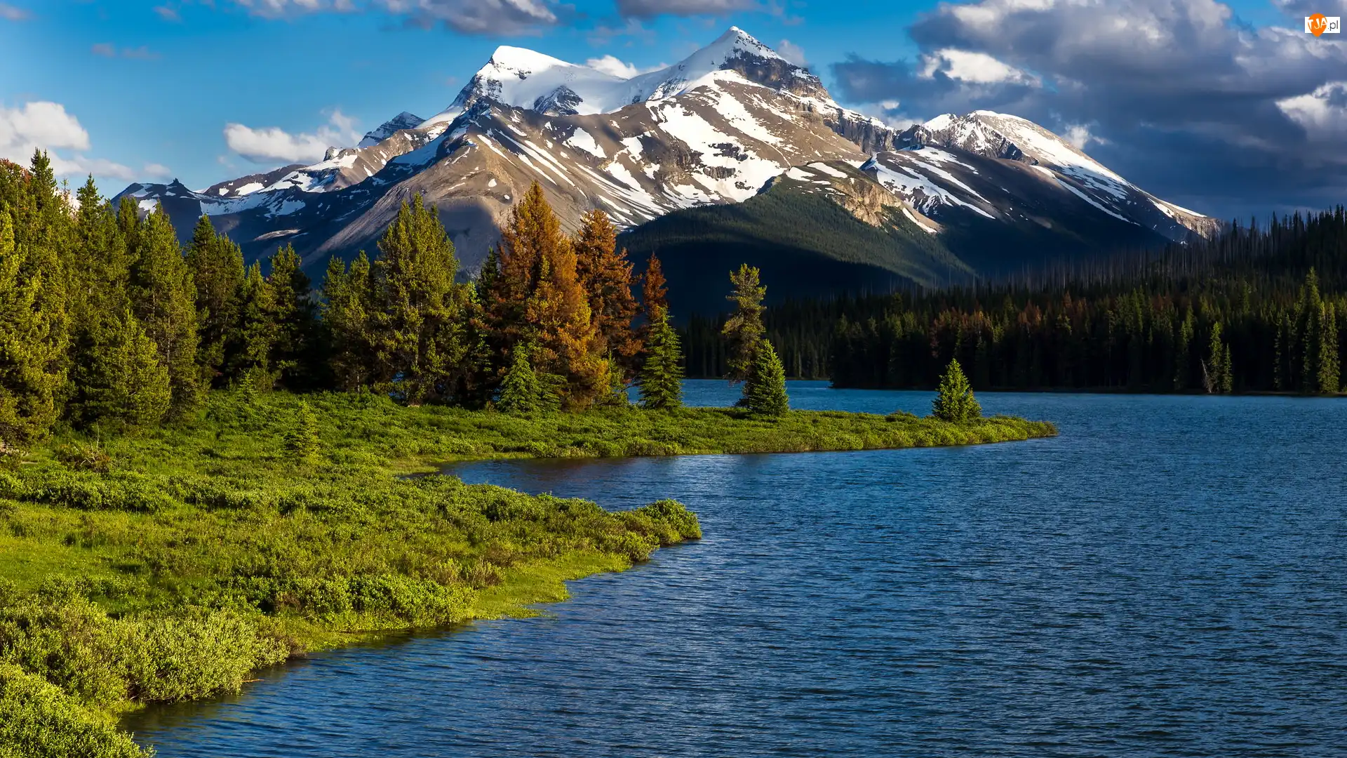 Góry, Jezioro, Kanada, Park Narodowy Jasper, Prowincja Alberta, Drzewa, Maligne Lake