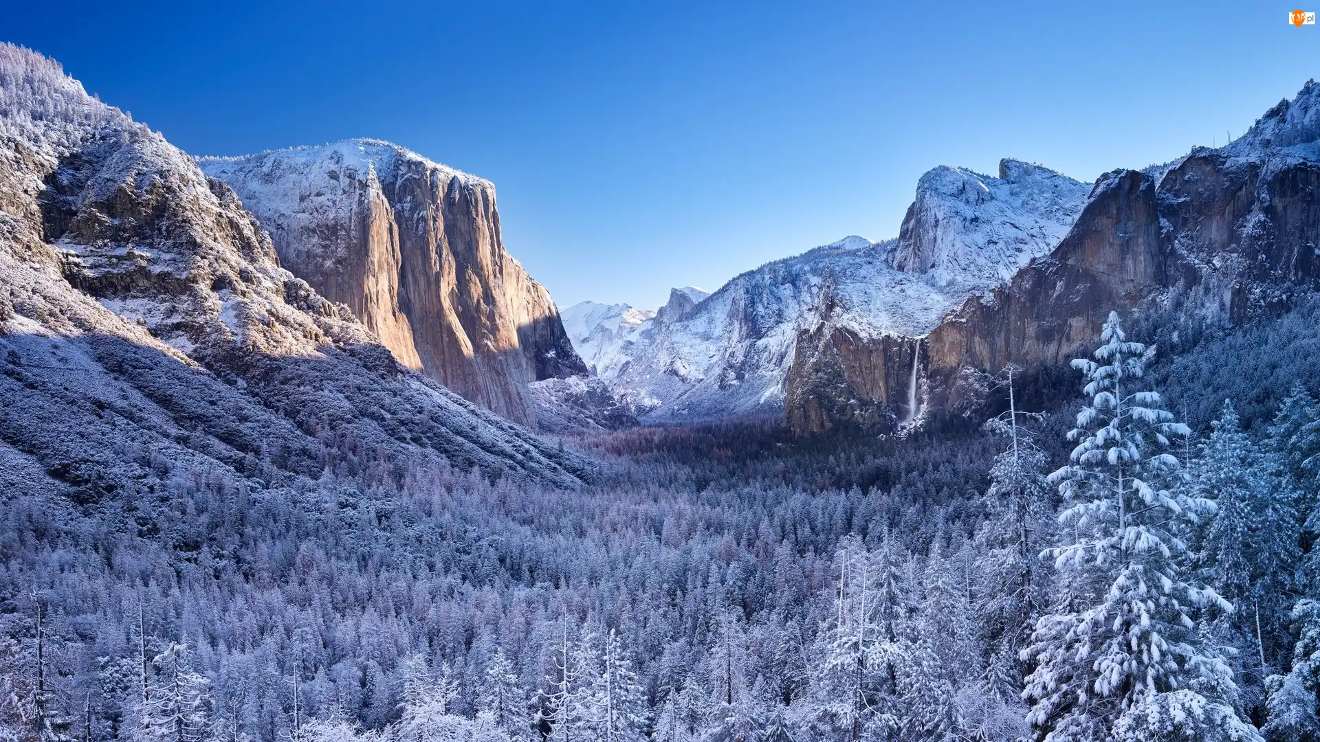 Drzewa, Kalifornia, Lasy, Góry, Zaśnieżone, Park Narodowy Yosemite, Dolina Yosemite Valley, Stany Zjednoczone, Zima
