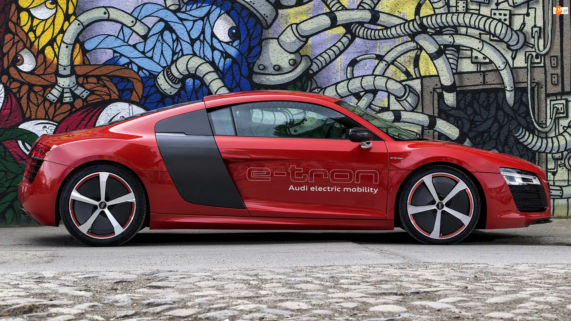 Bok, Audi R8