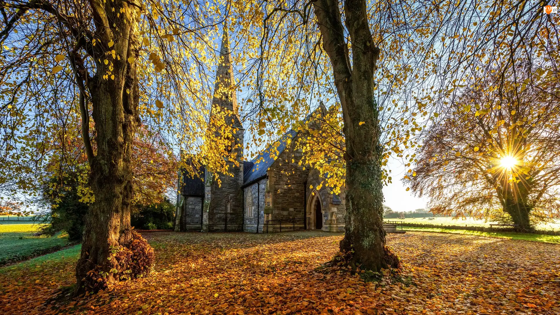 Hrabstwo Tyrone, Strabane, Promienie słońca, Irlandia Północna, Drzewa, Jesień, Kościół