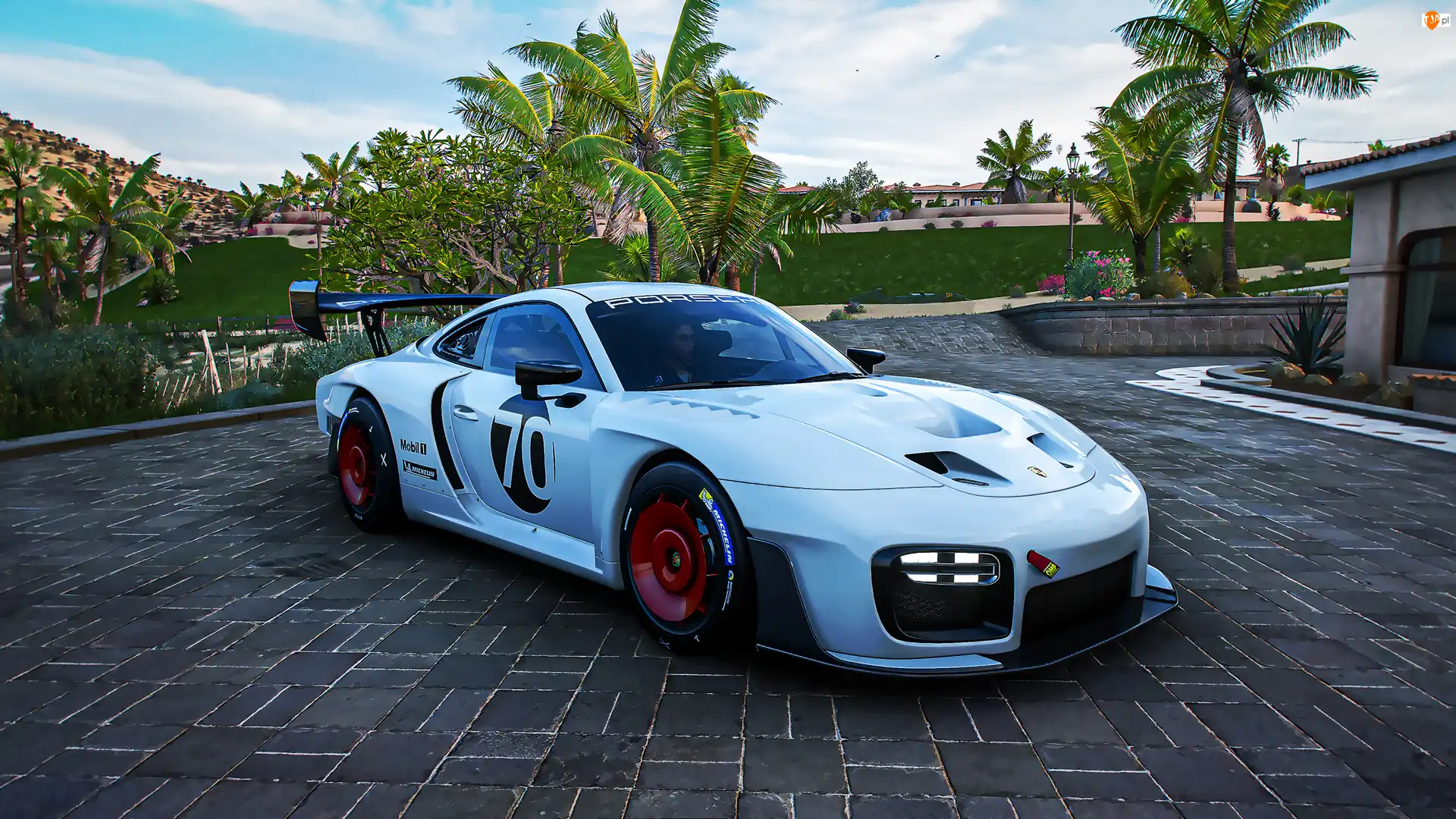 Palmy, Gra, Forza Horizon 5, Porsche 935