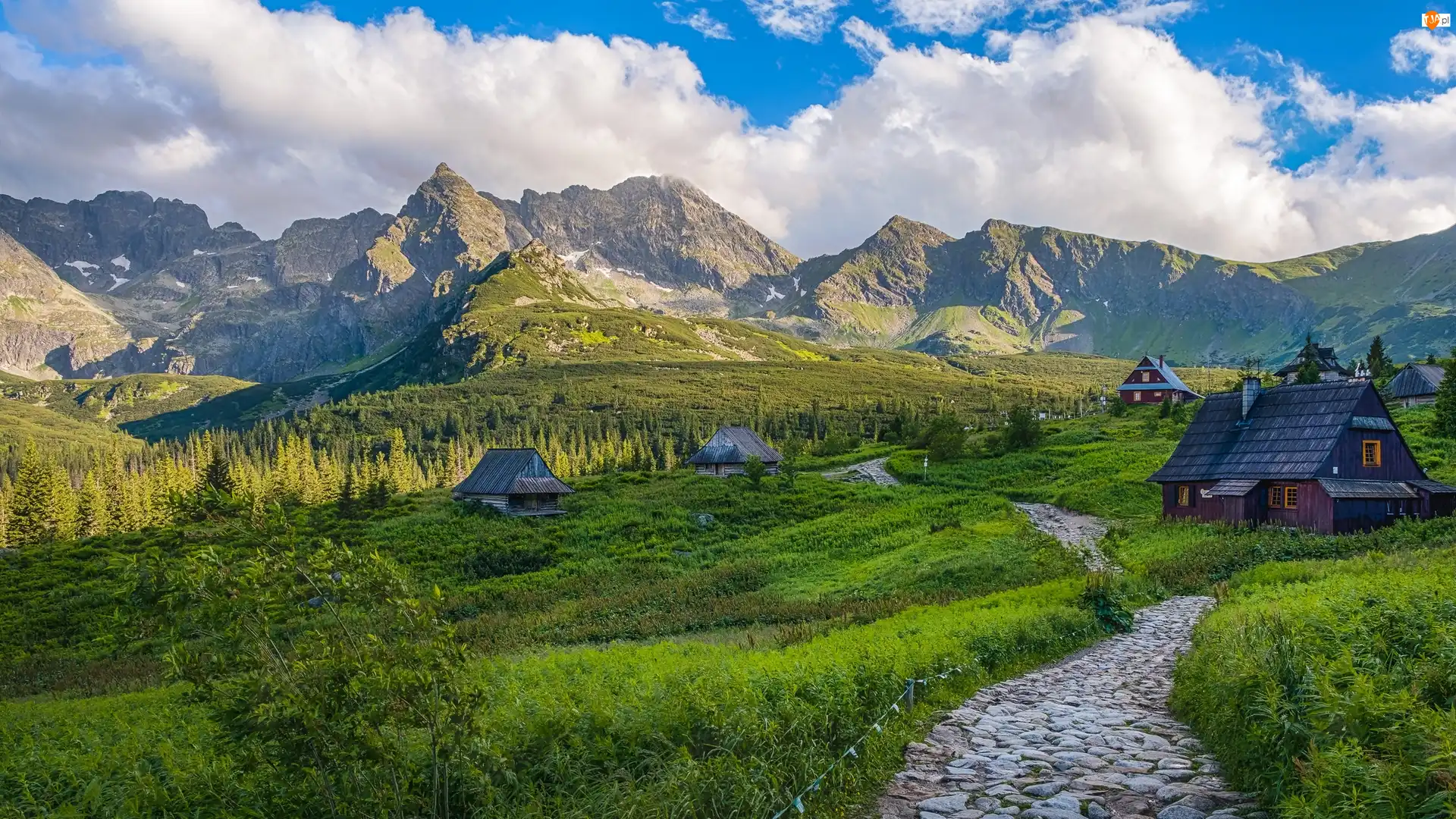 Domki, Hala Gąsienicowa, Góry Tatry, Zakopane, Królowe Rówienki, Drewniane, Polska, Droga