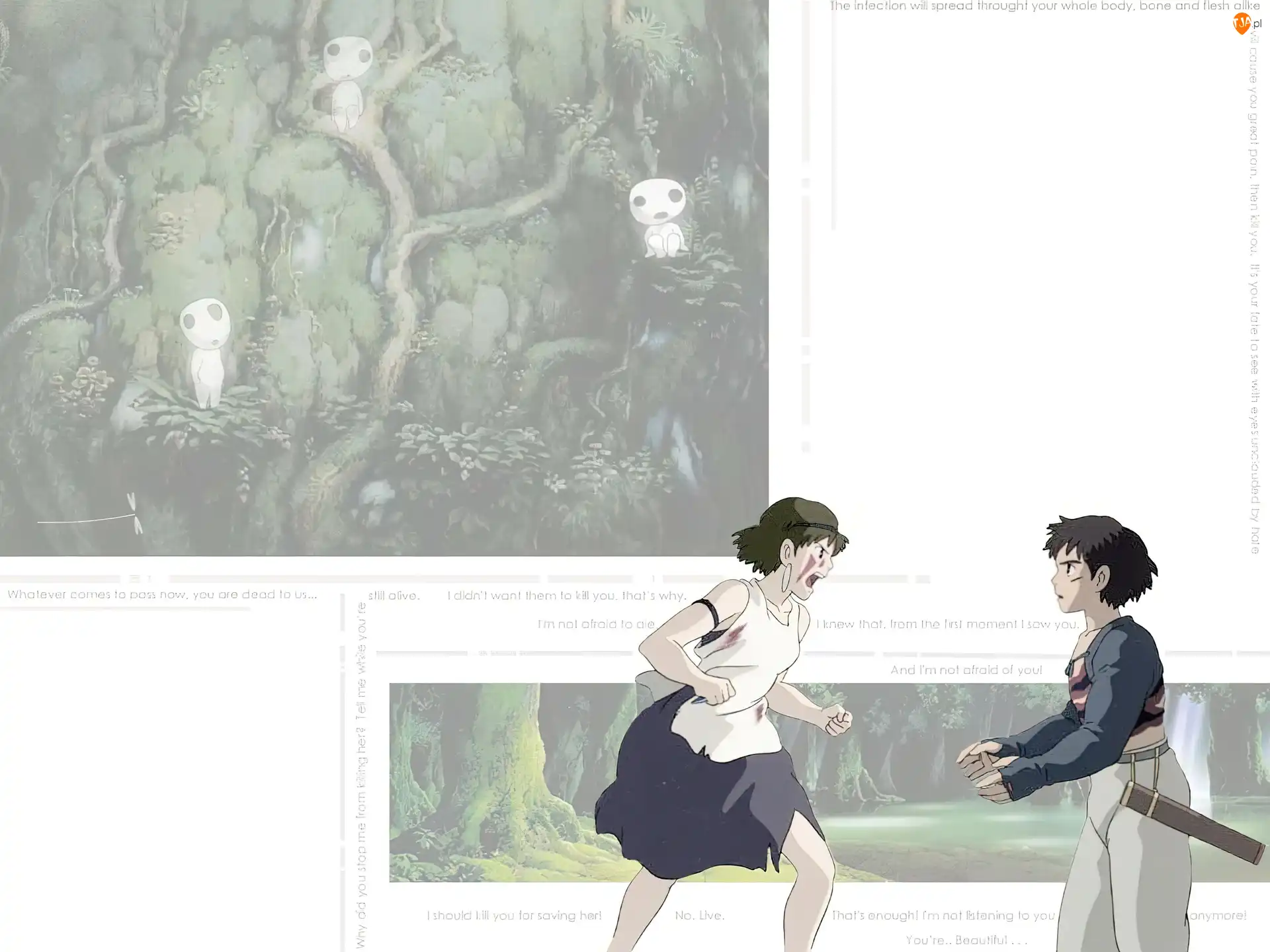 kłótnia, Mononoke Hime, las