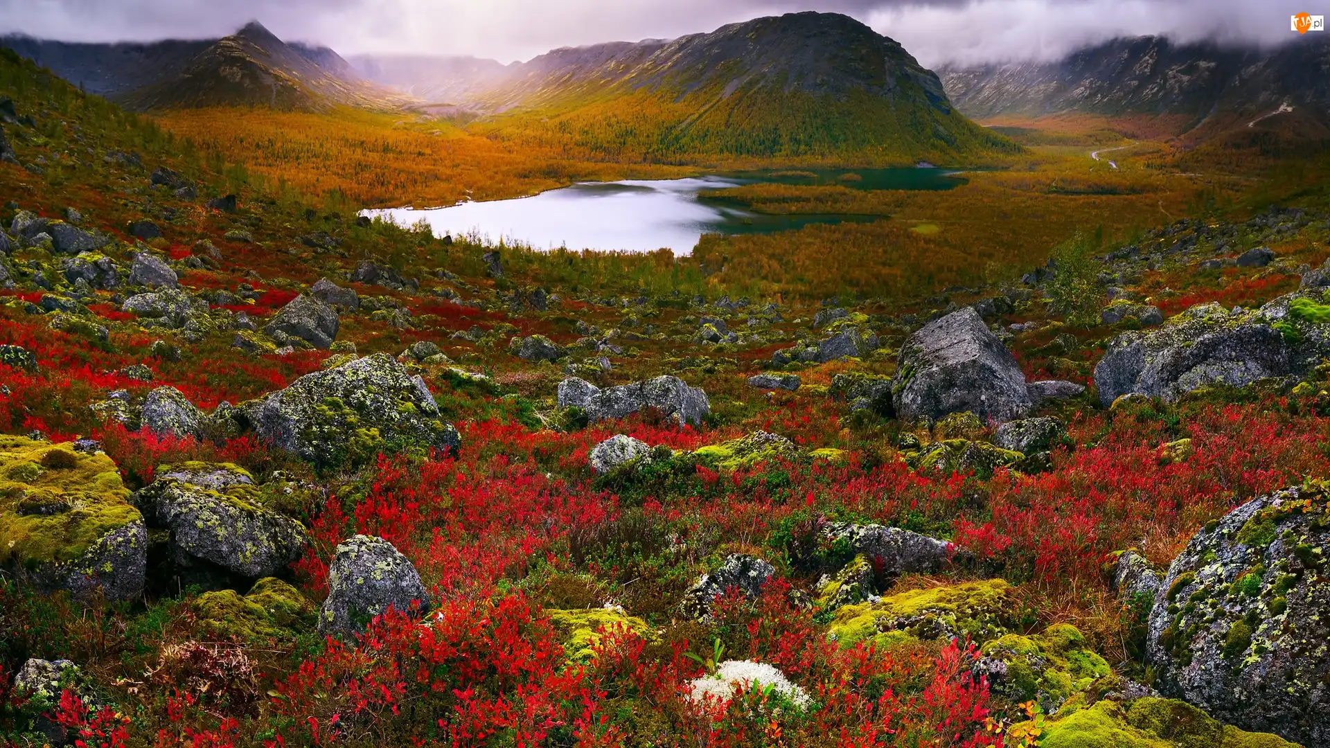 Tundra, Rośliny, Kamienie, Kolorowe, Półwysep Kolski, Rosja, Góry Chibiny, Obwód murmański, Jezioro, Mgła