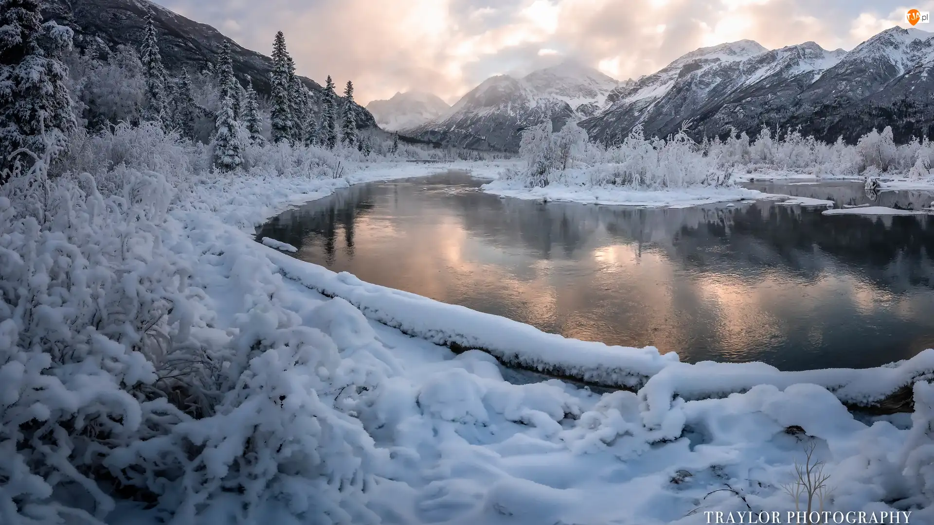 Stany Zjednoczone, Drzewa, Krzewy, Ośnieżone, Rzeka, Zima, Dolina, Eagle River, Góry, Alaska
