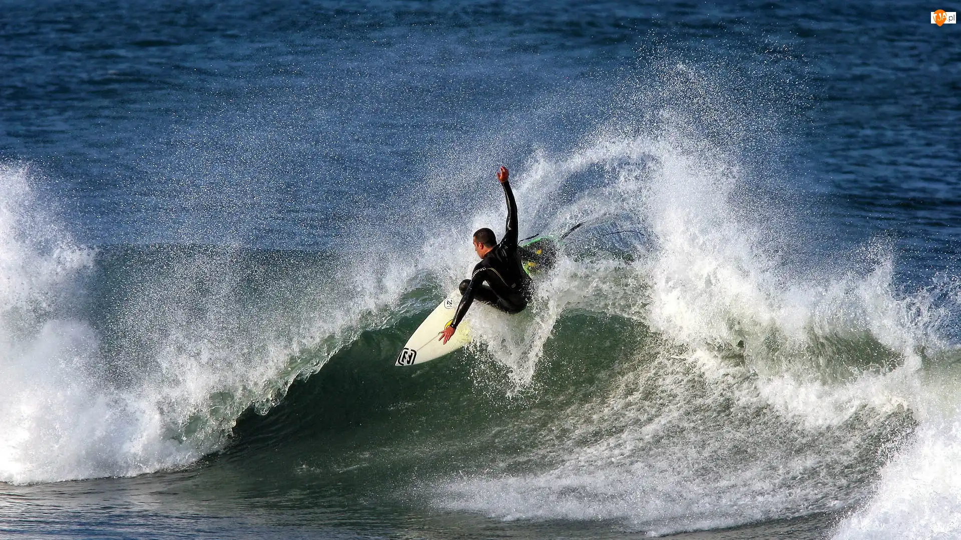 Surfing, Mężczyzna, Morze, Fala