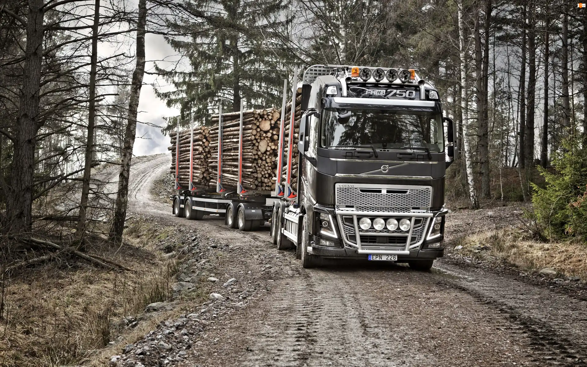 Las, Ciężarówka, Volvo FH 16 250, Droga