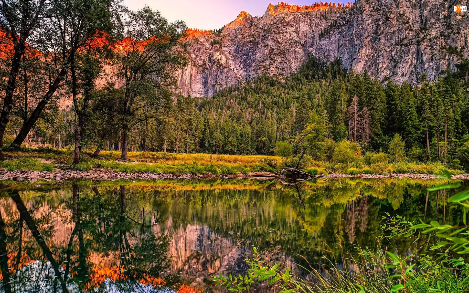 Kalifornia, Park Narodowy Yosemite, Odbicie, Stany Zjenoczone, Drzewa, Rzeka, Skały