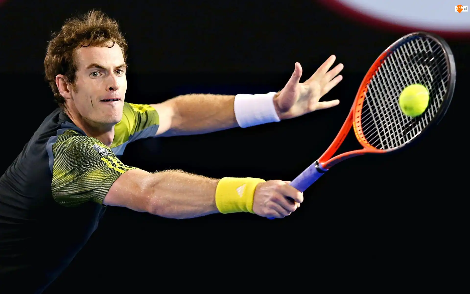 Szkot, Tenisista, Andy Murray