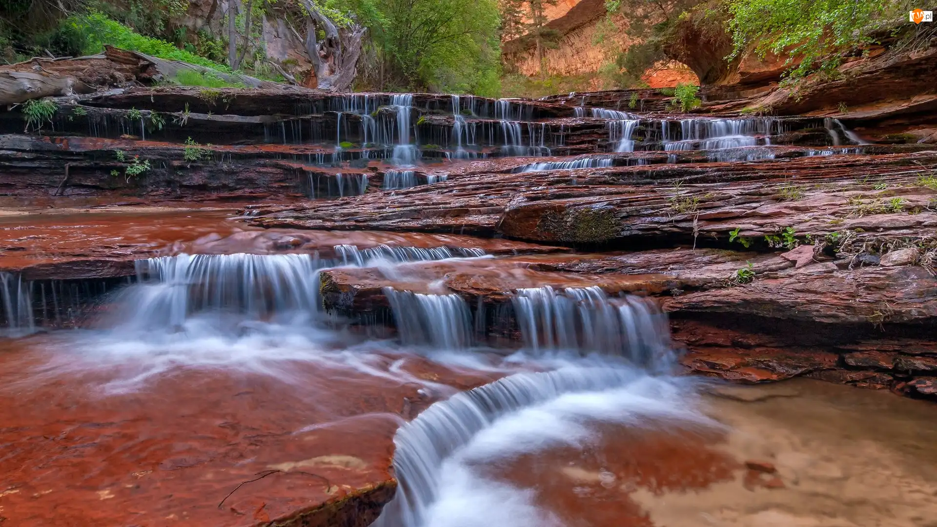 Wodospad, Cascade Falls, Stany Zjednoczone, Skały, Stan Utah, Park Narodowy Zion, Kaskada