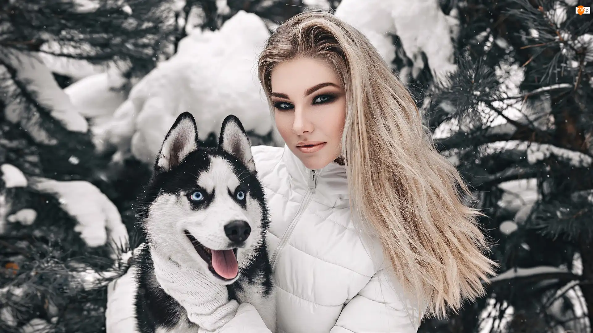 Blondynka, Dziewczyna, Siberian husky, Śnieg, Pies, Zima