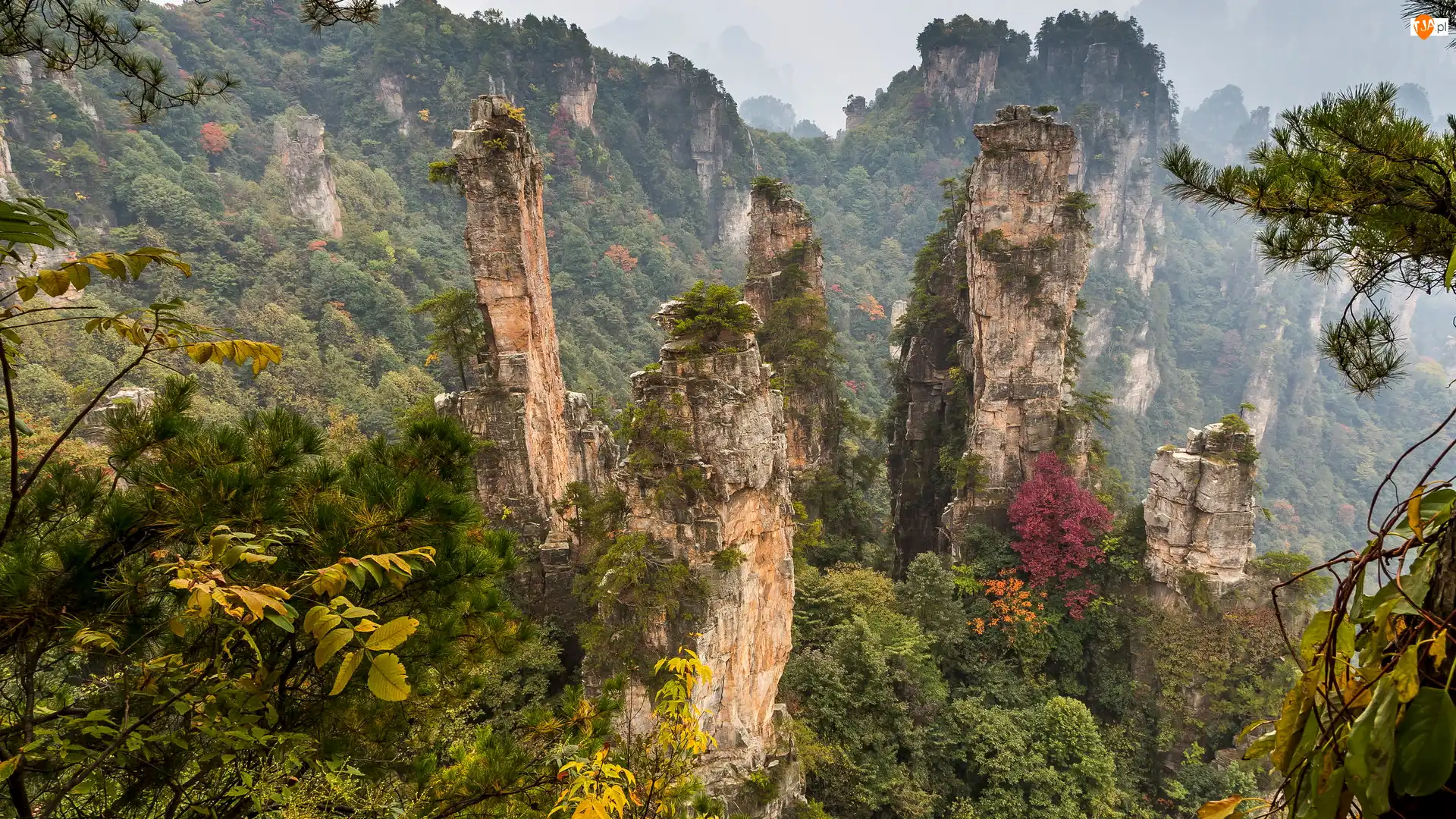 Wulingyuan Scenic Area, Skały, Chiny, Las, Hunan, Zhangjiajie National Forest Park, Góry