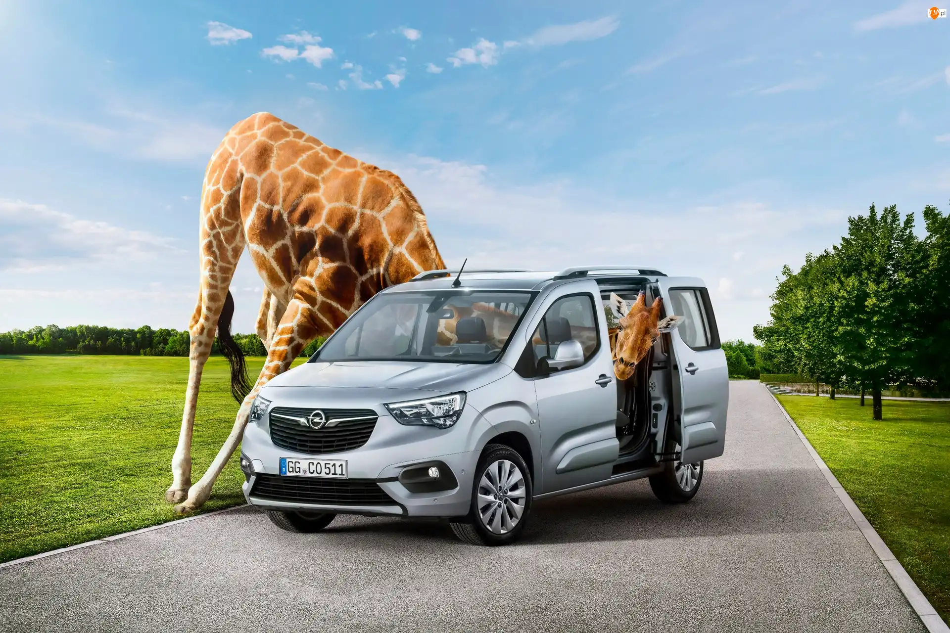Śmieszne, Opel Combo, 2018, Żyrafa