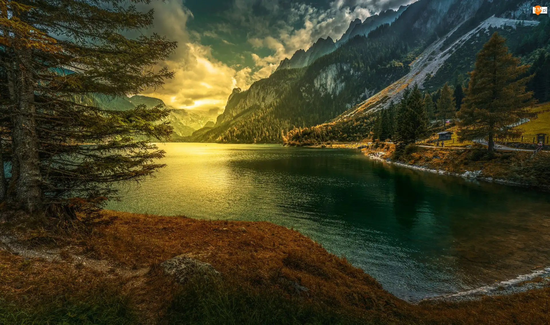 Drzewa, Gosau, Lasy, Jezioro Gosauseen, Zachód słońca, Powiat Gmunden, Obszar Salzkammergut, Austria, Góry Dachstein