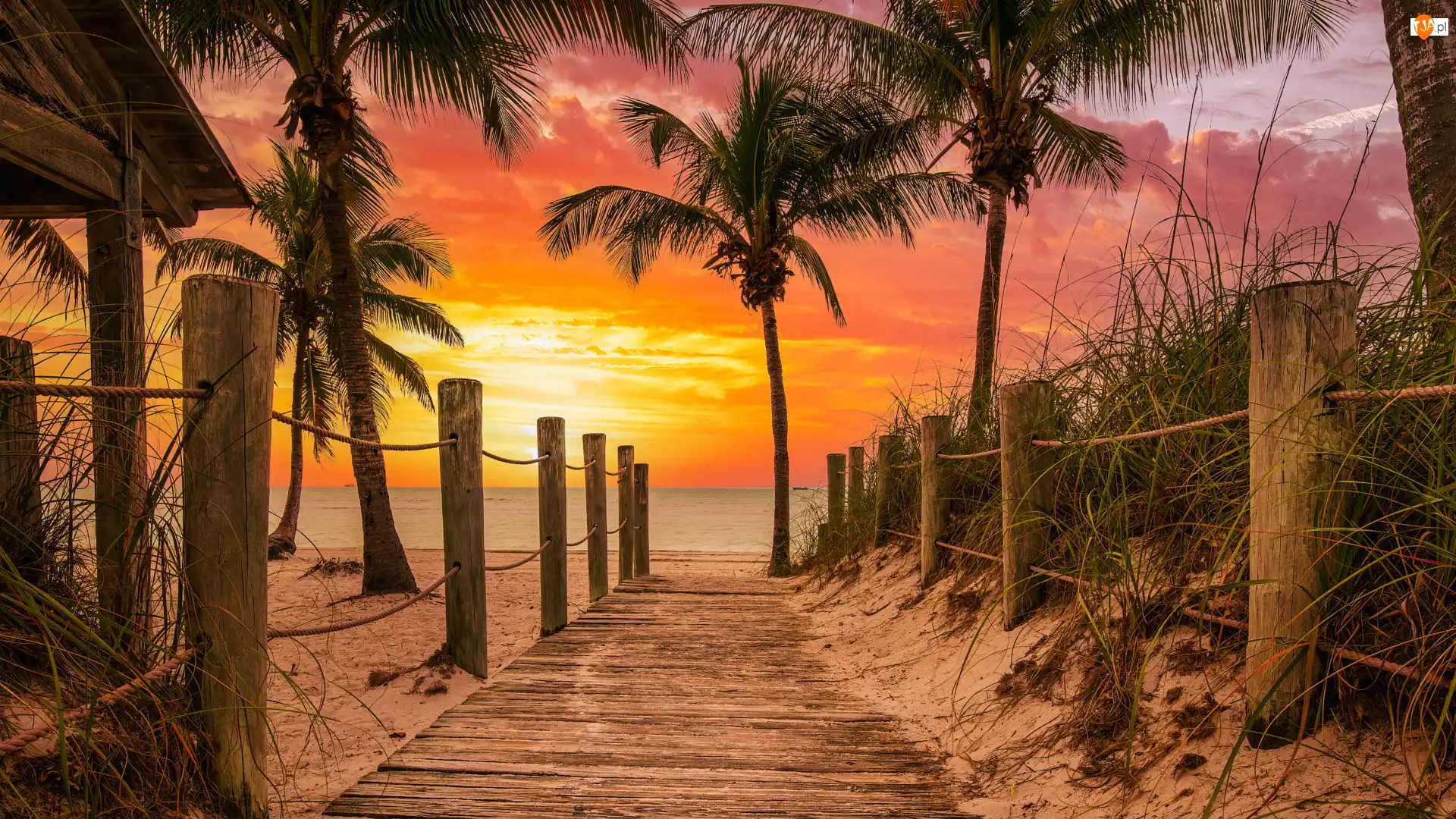 Stany Zjednoczone, Palmy, Key West, Ogrodzenie, Plaża, Zachód słońca, Morze, Smathers Beach, Podest, Floryda