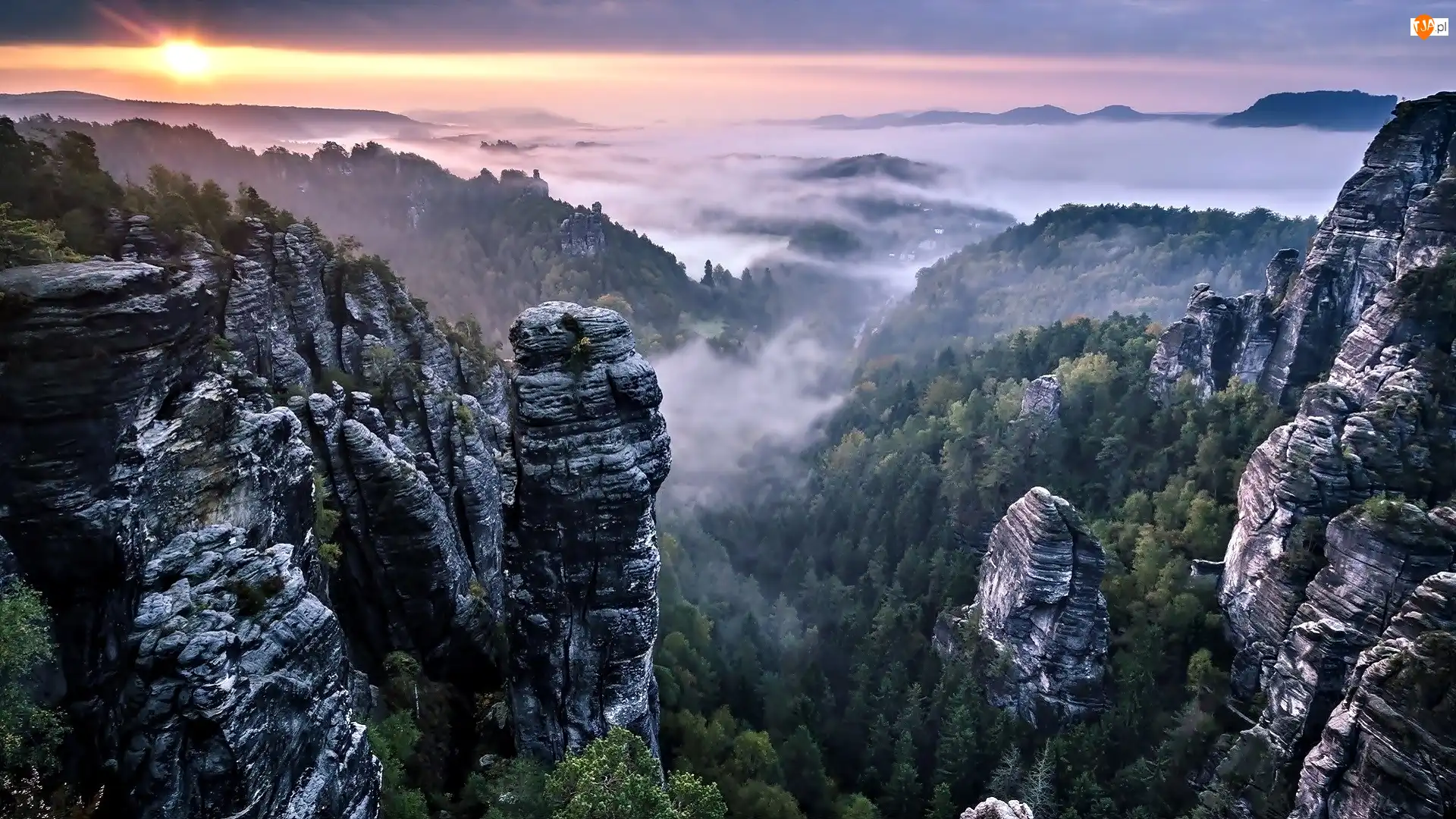 Zachód Słońca, Mgła, Alpy, Góry, Drzewa